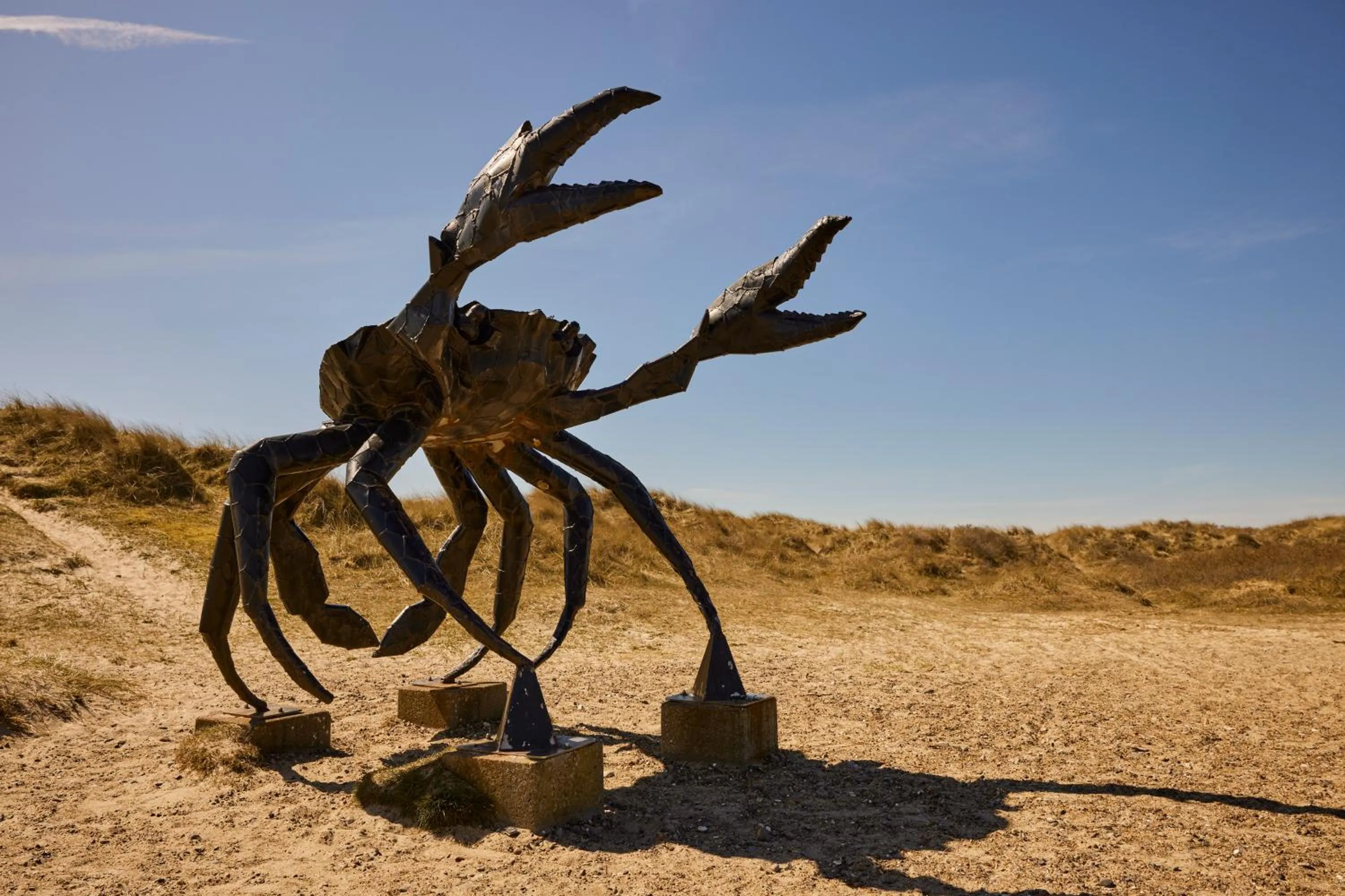 Beach in Strandhotel Klitrosen