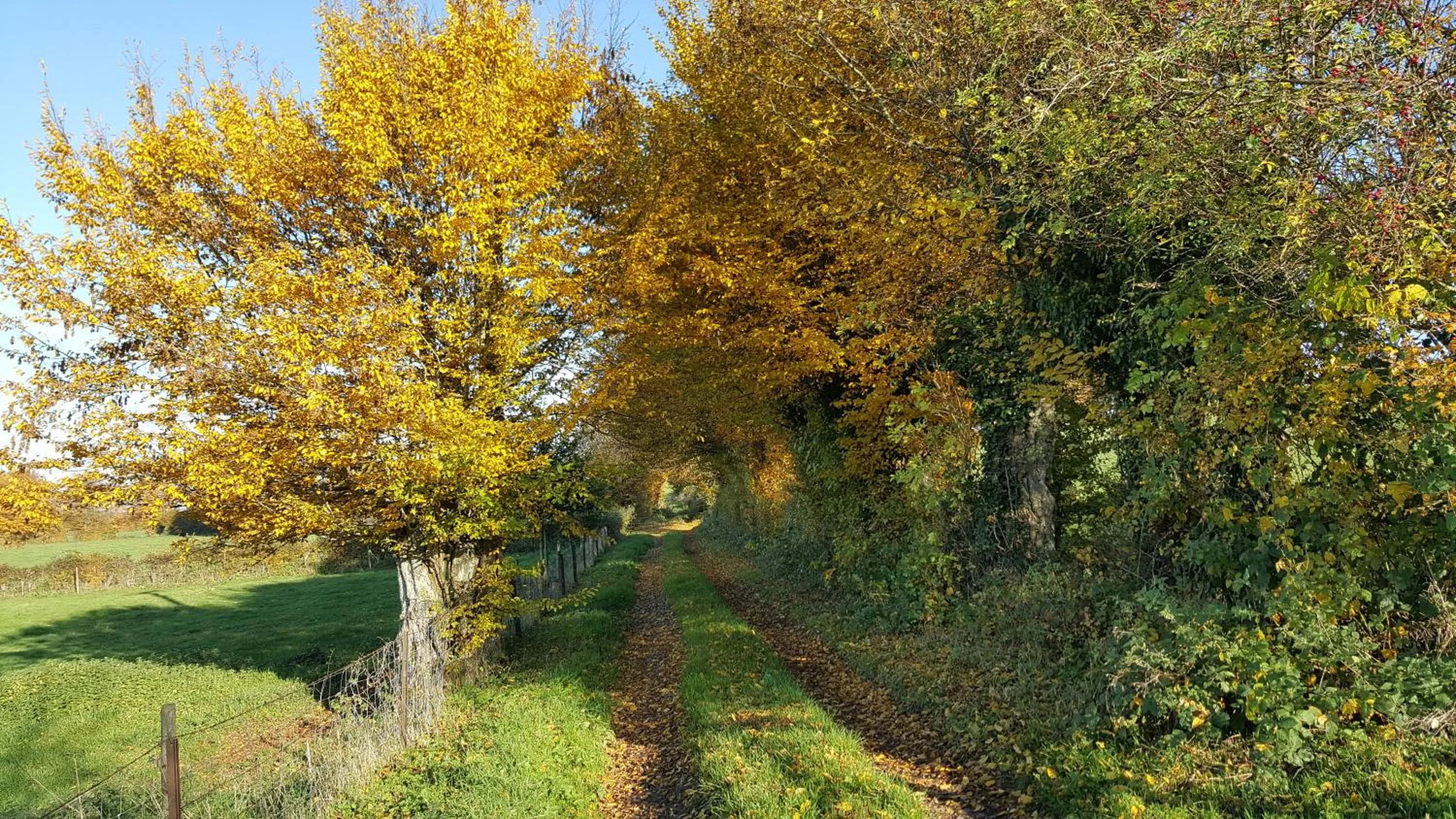 Autumn in Les Mout'Anes