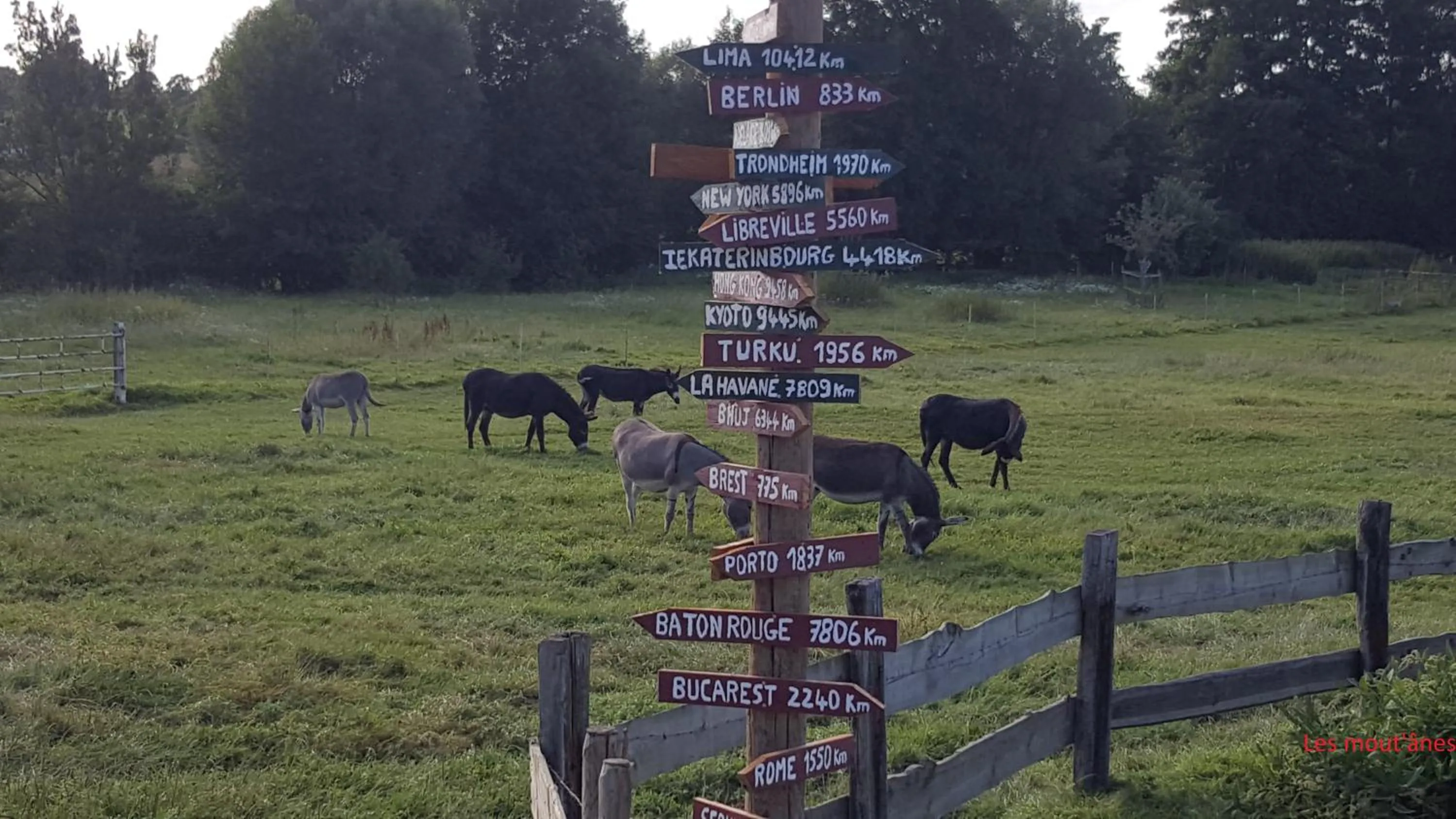 Activities in Les Mout'Anes