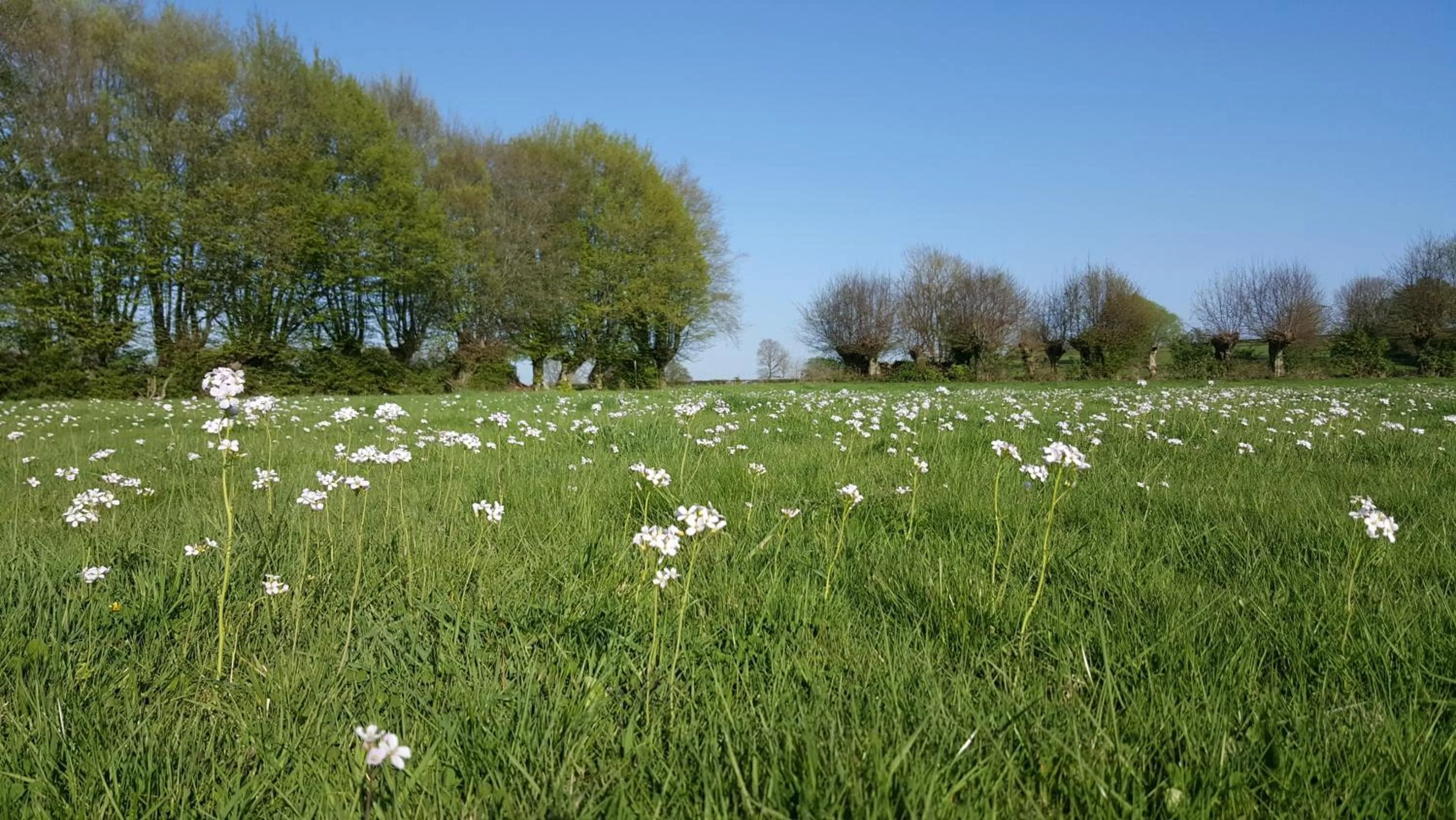 Spring in Les Mout'Anes