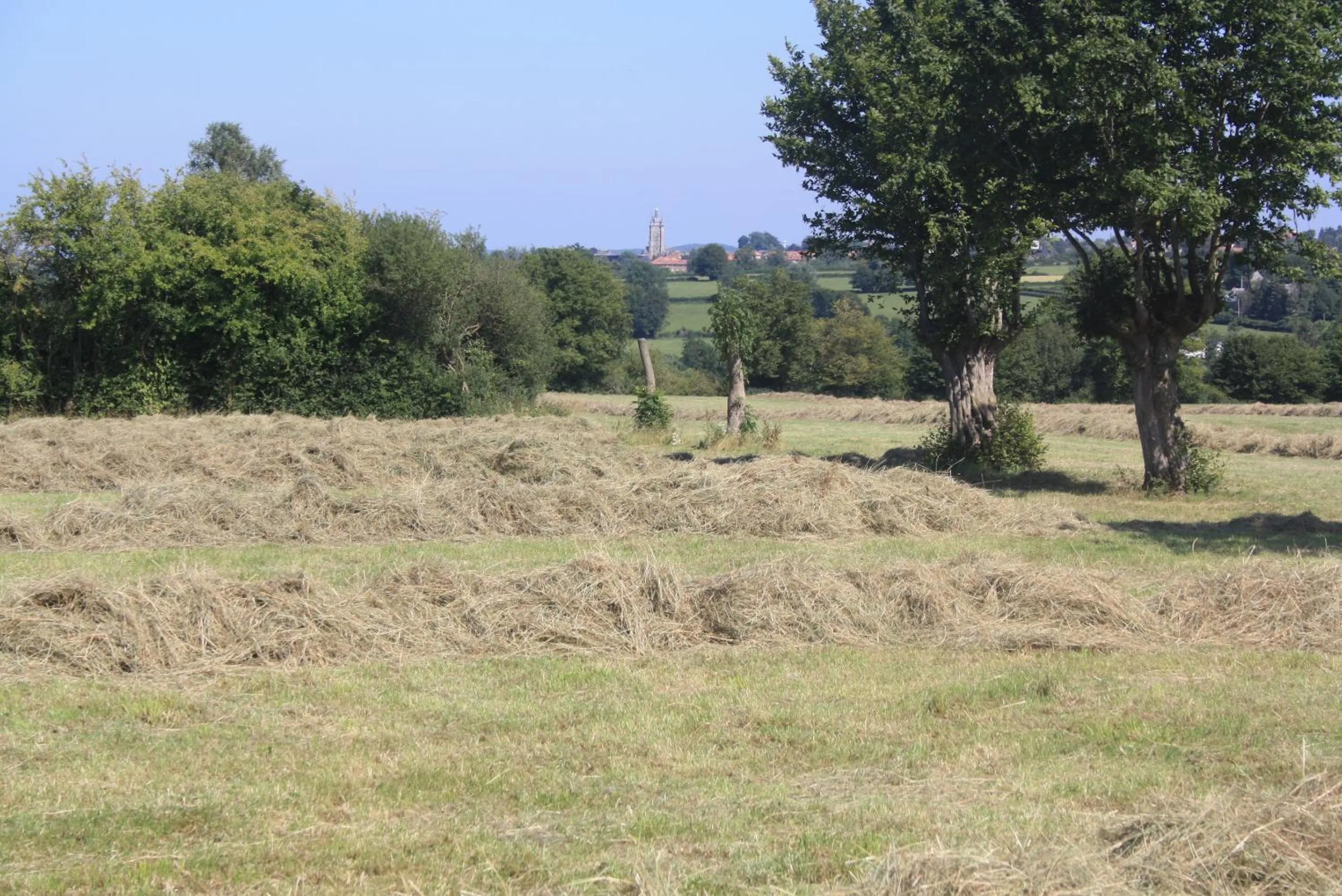 Area and facilities in Les Mout'Anes