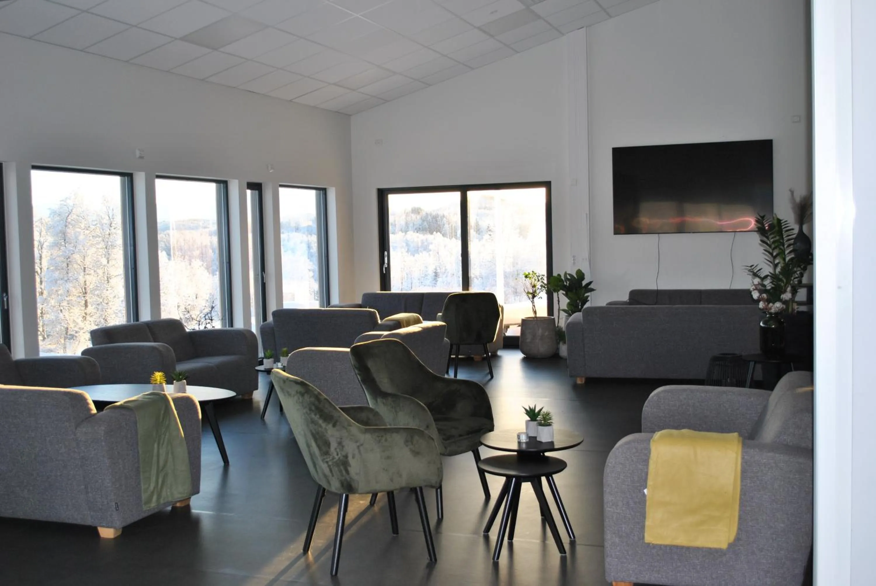 Living room in Skoghus