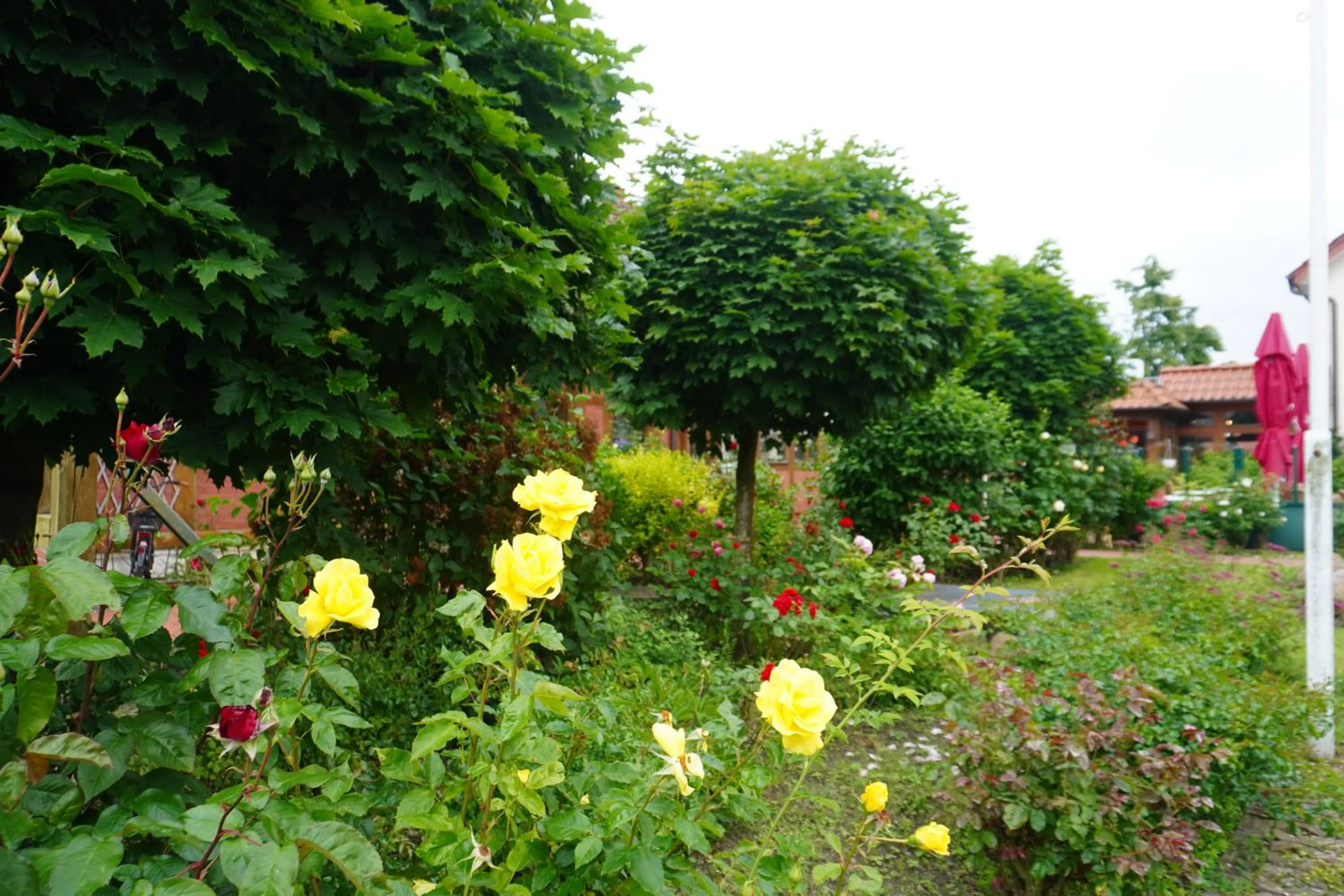 Spring in Alcor Hotel Feriendorf an der Ostsee
