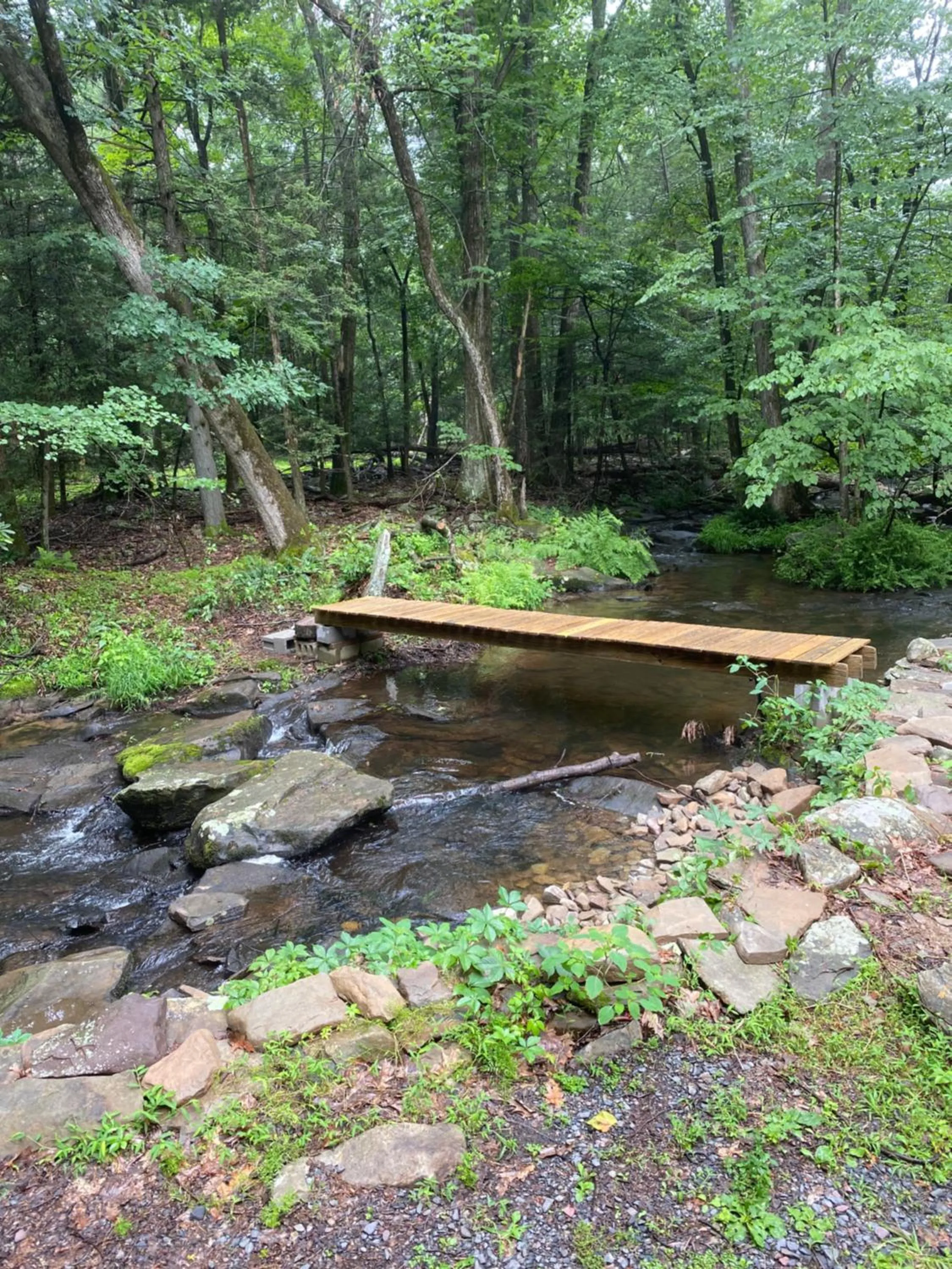 Secluded Greekside Cabin near Camelback