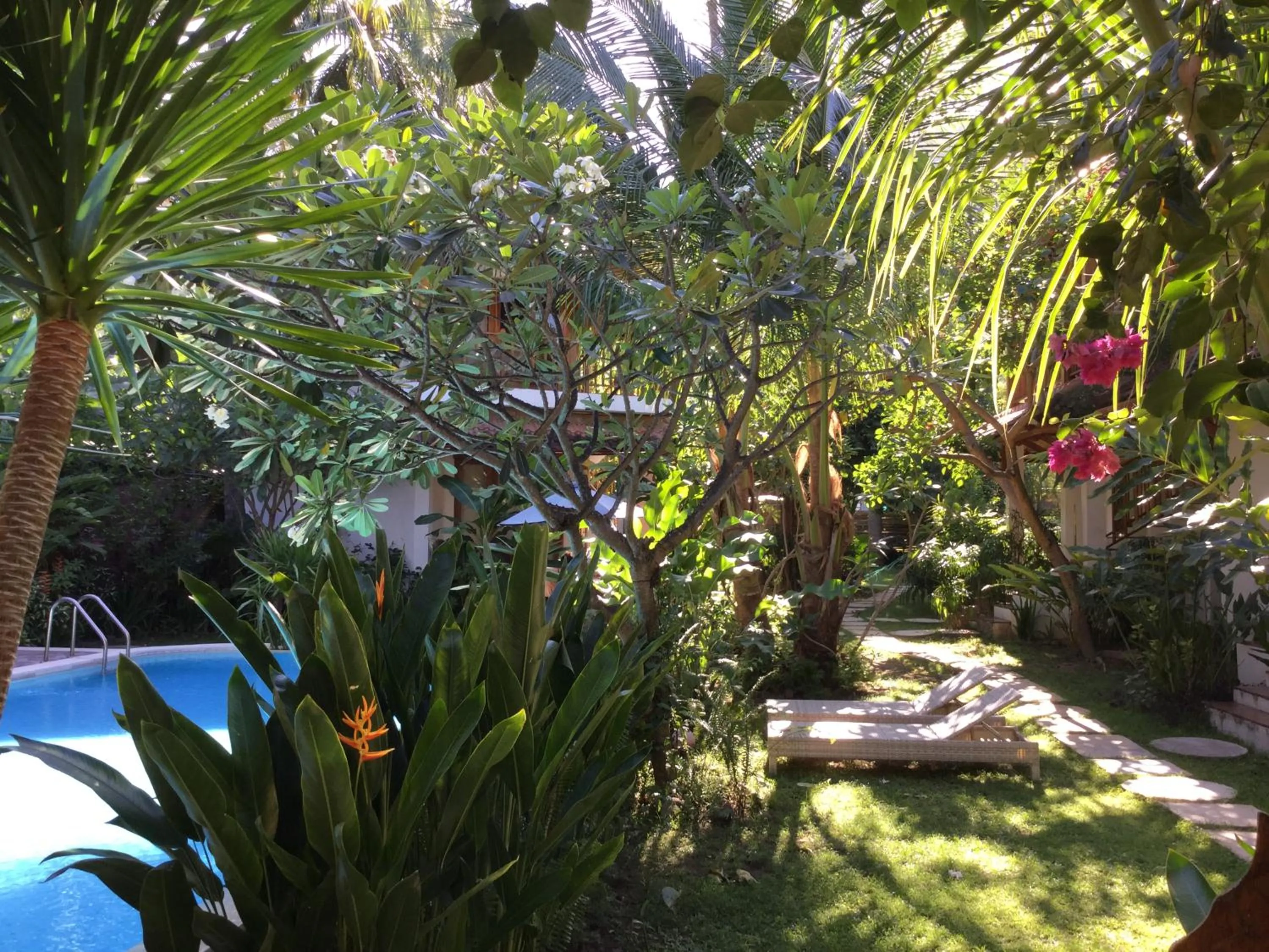 Garden in Villa Jati Mangsit