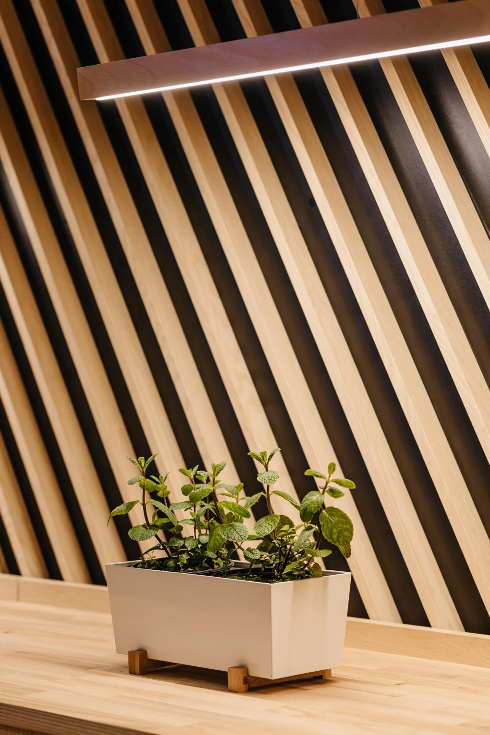 Decorative detail in Ski&Sun Apartamenty