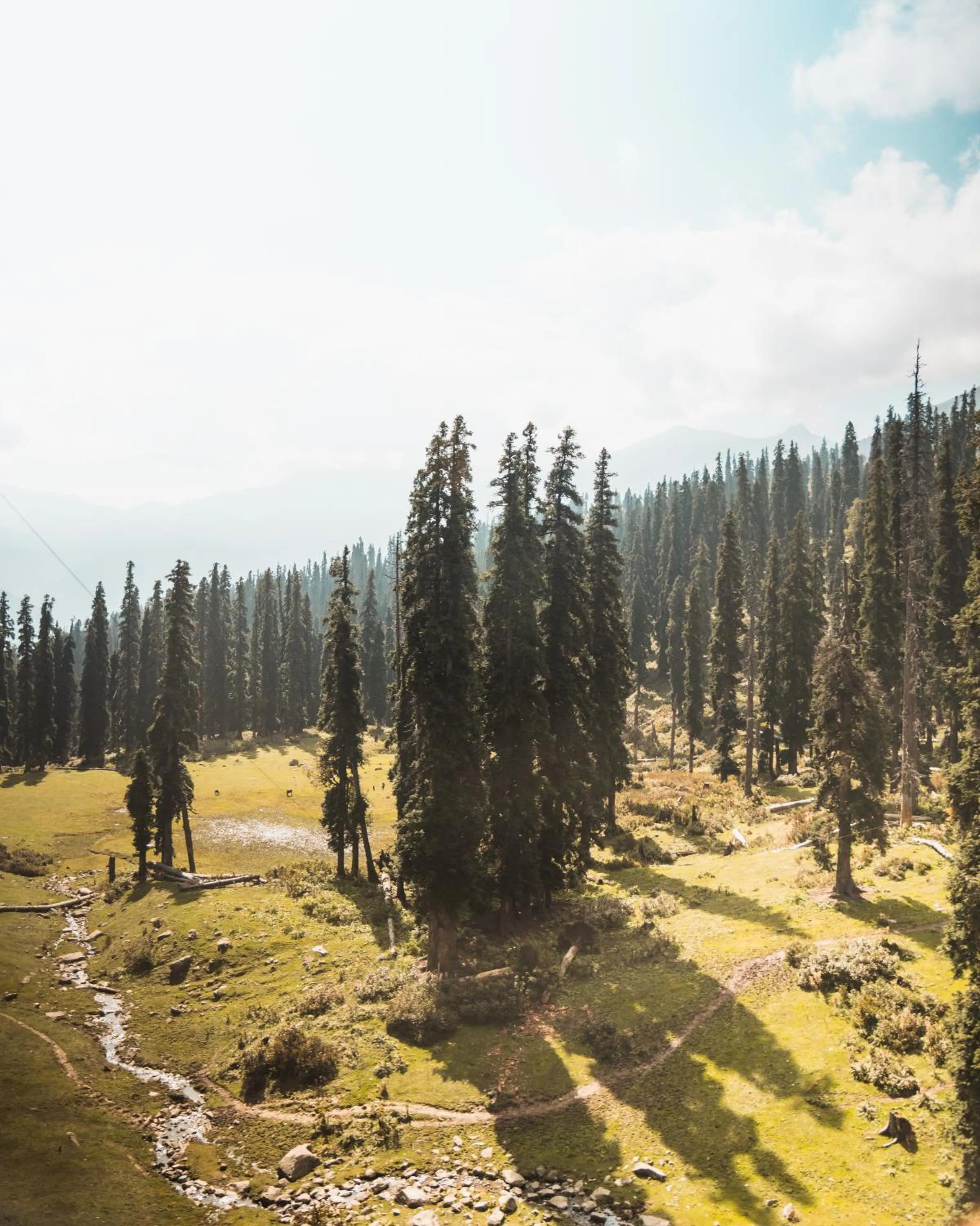 Nearby landmark in The Khyber Himalayan Resort & Spa