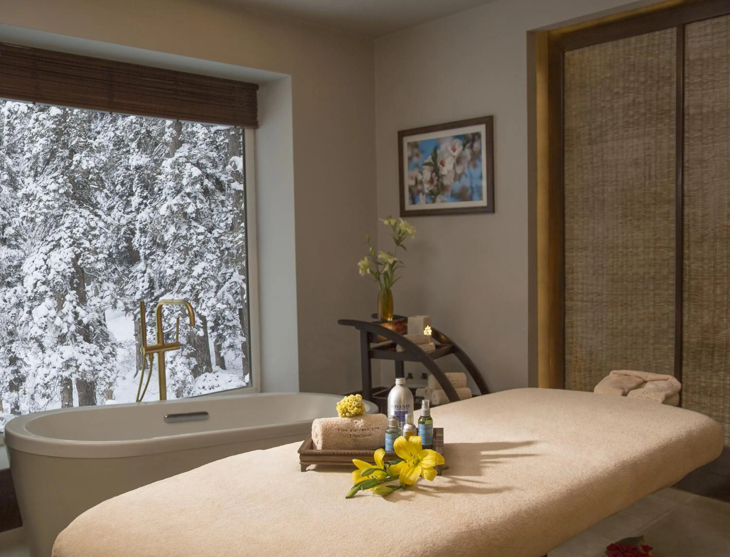 Spa and wellness centre/facilities in The Khyber Himalayan Resort & Spa