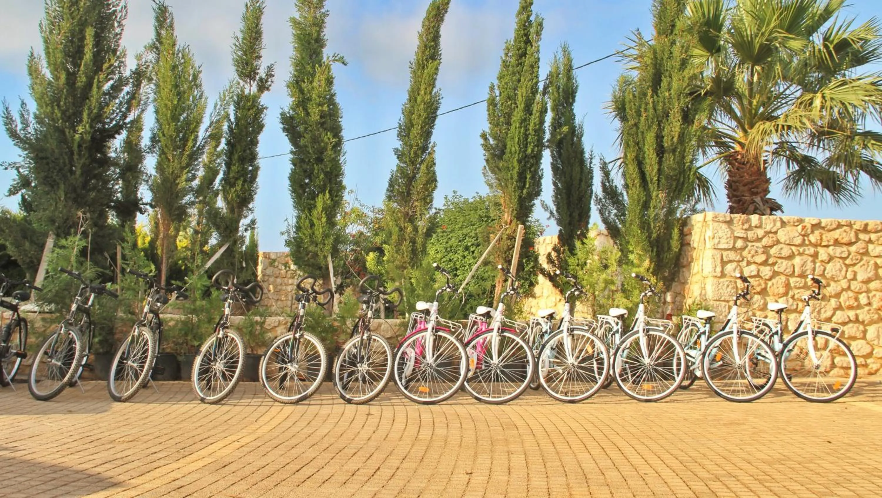 Cycling in Bella Elena by Estia