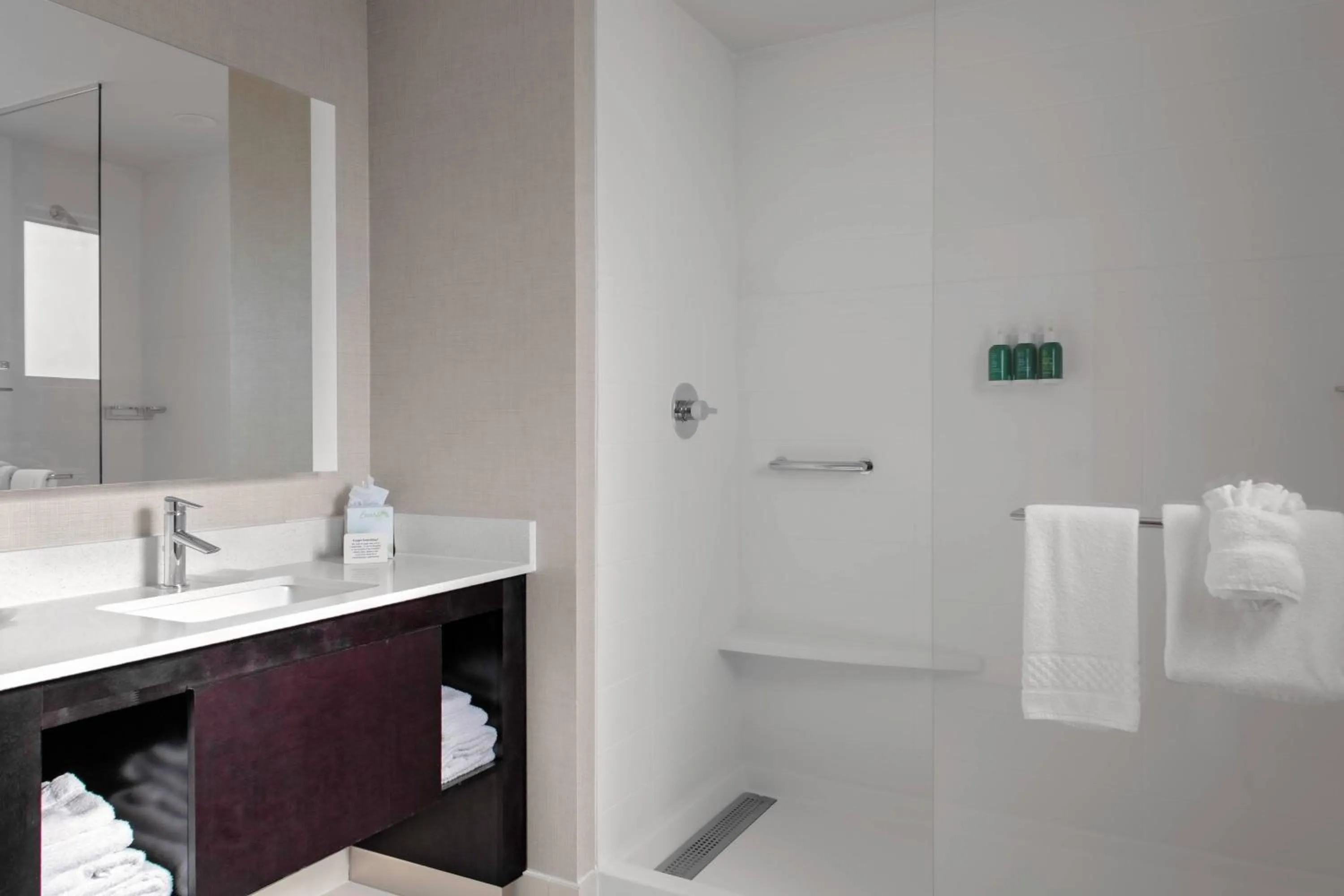 Bathroom in Residence Inn by Marriott Phoenix Mesa East