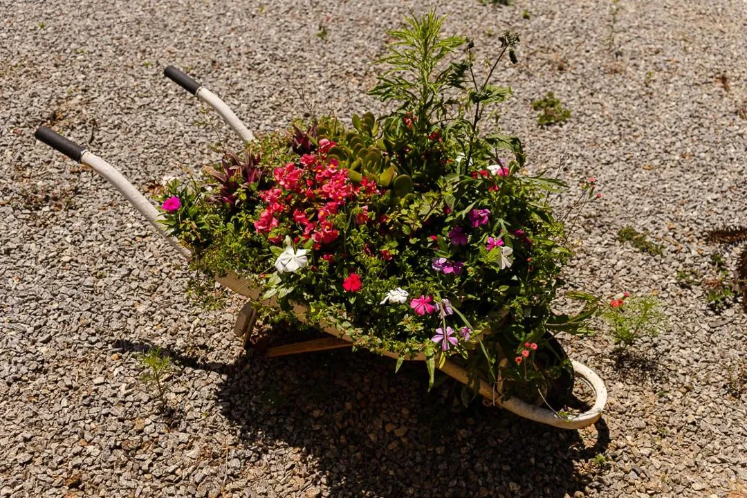 Garden in Pousada Chalés São Francisco