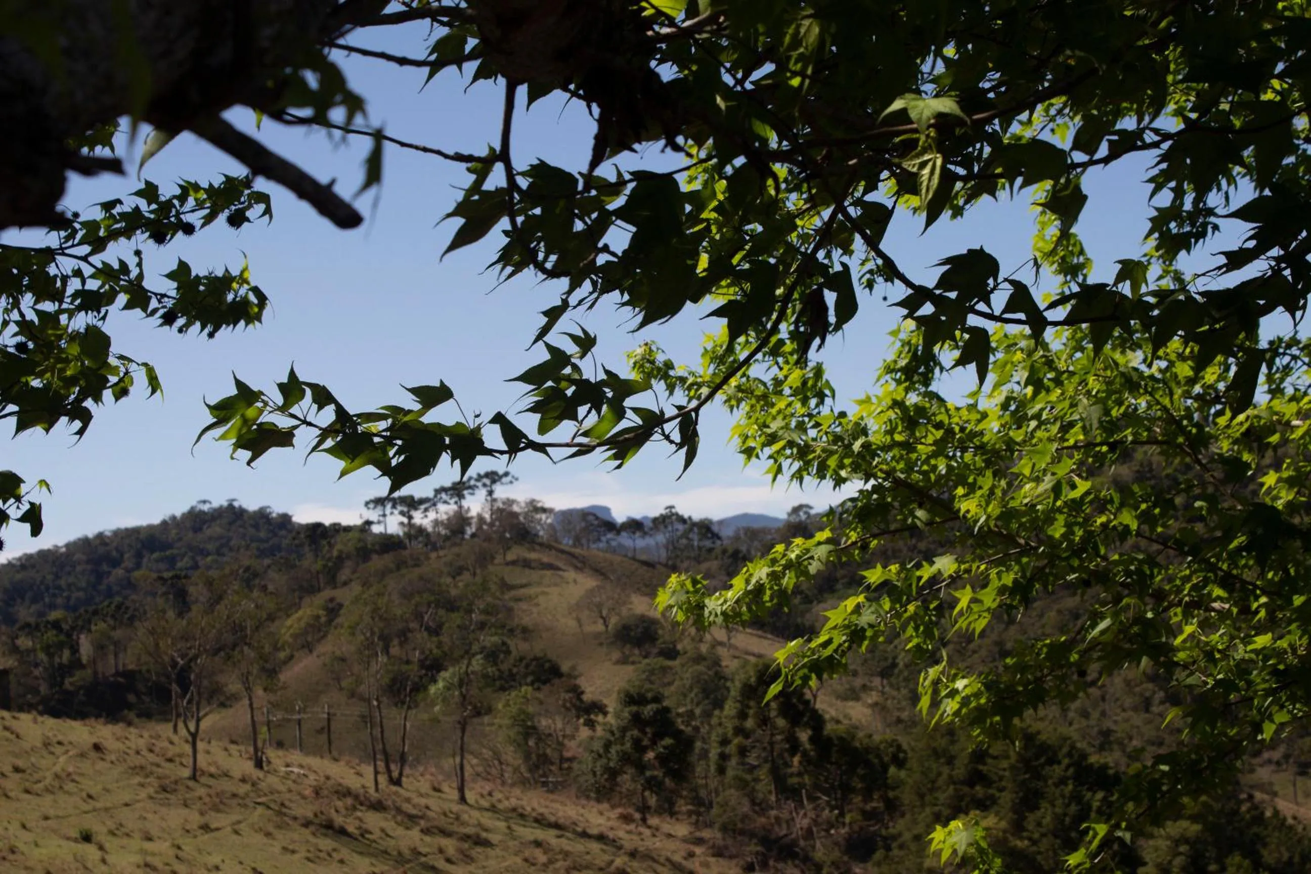 Pousada Chalés São Francisco