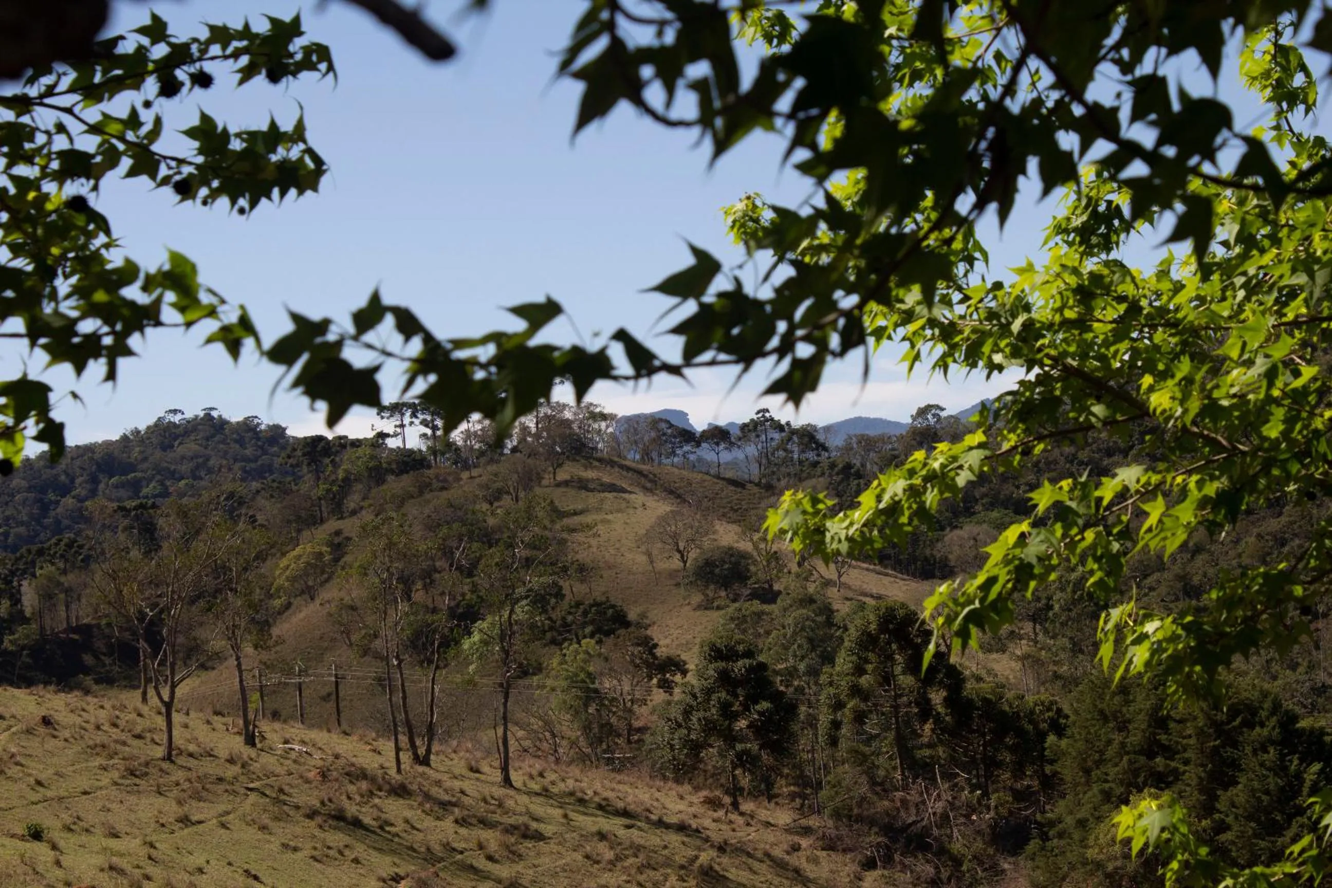 Pousada Chalés São Francisco