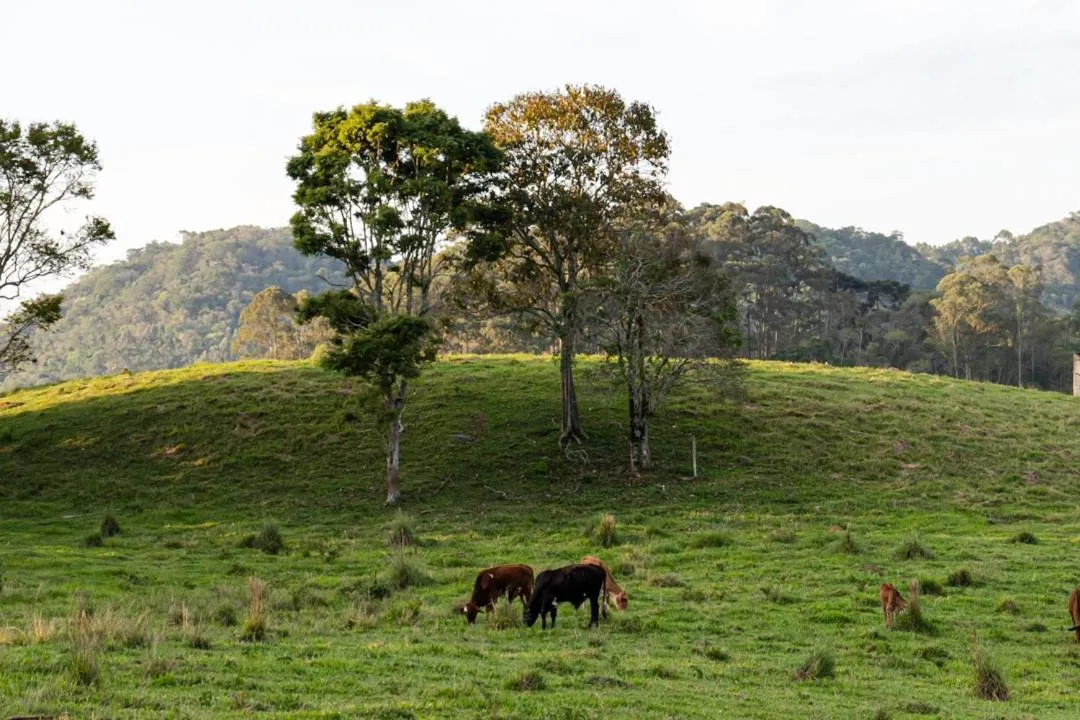 Natural landscape in Pousada Chalés São Francisco