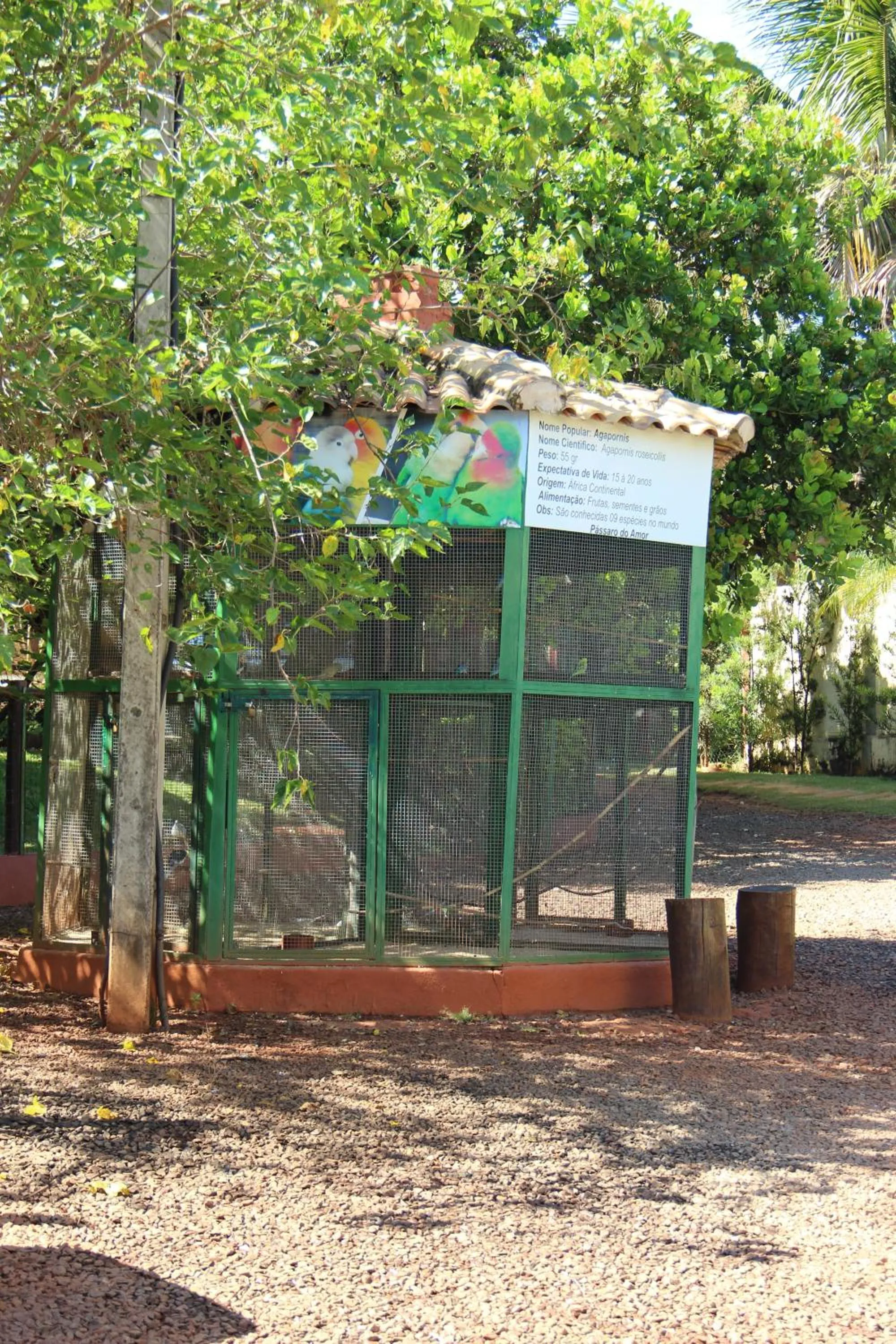 Pets in Monte Carlo Pousada