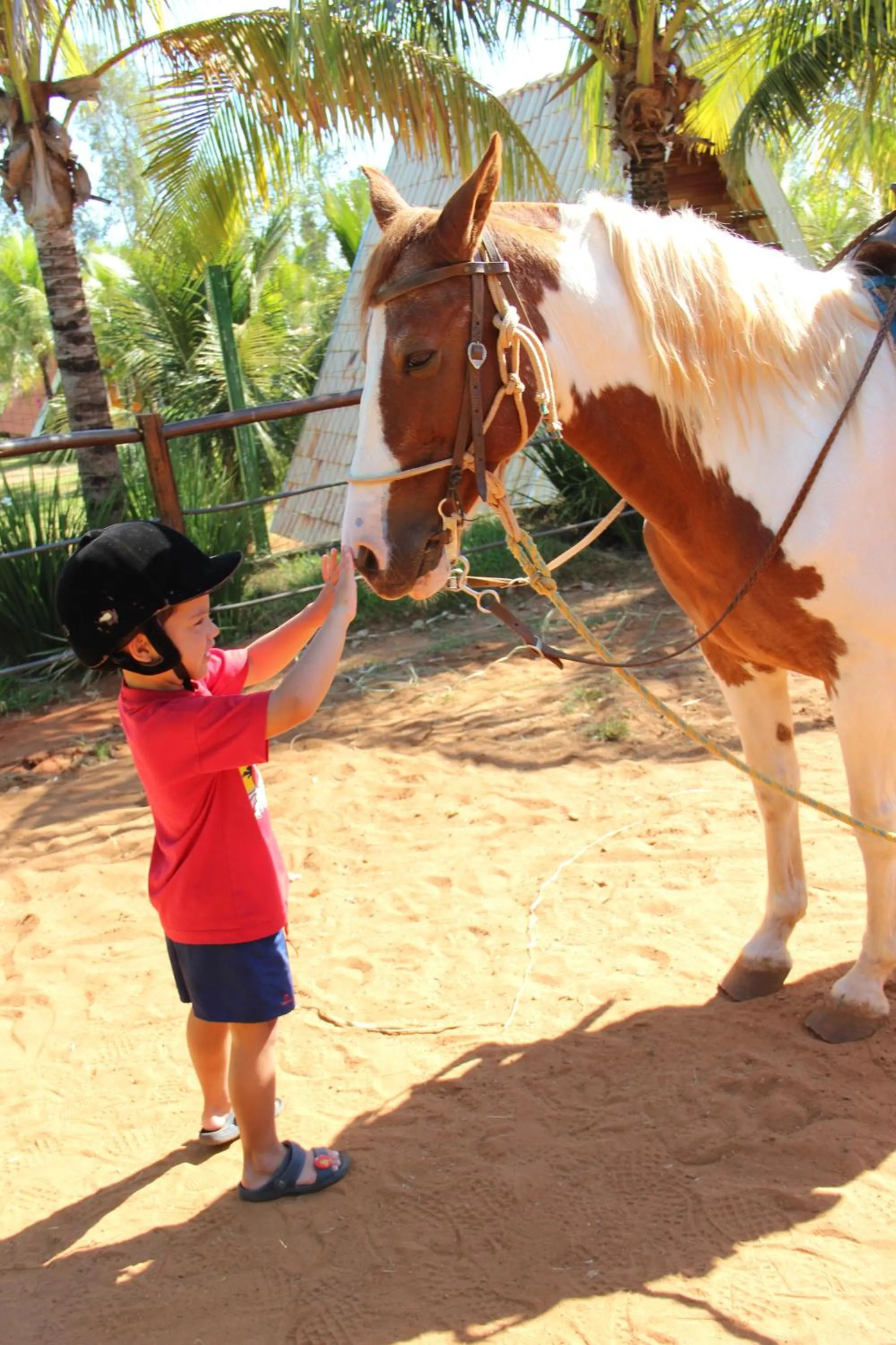 Sports in Monte Carlo Pousada