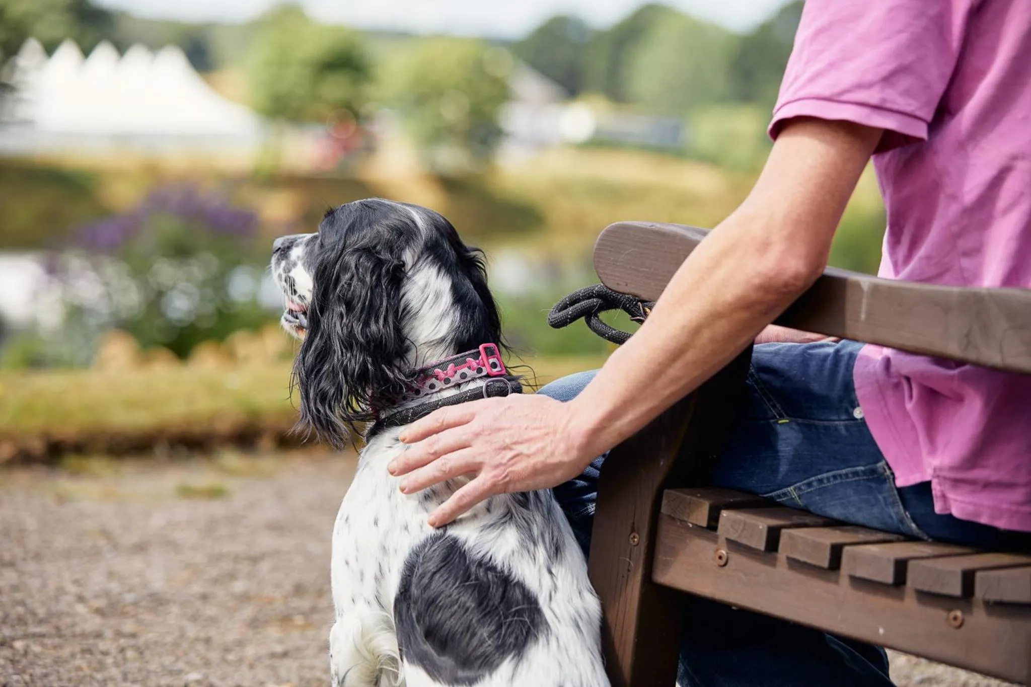 Garden in Ednam House Hotel
