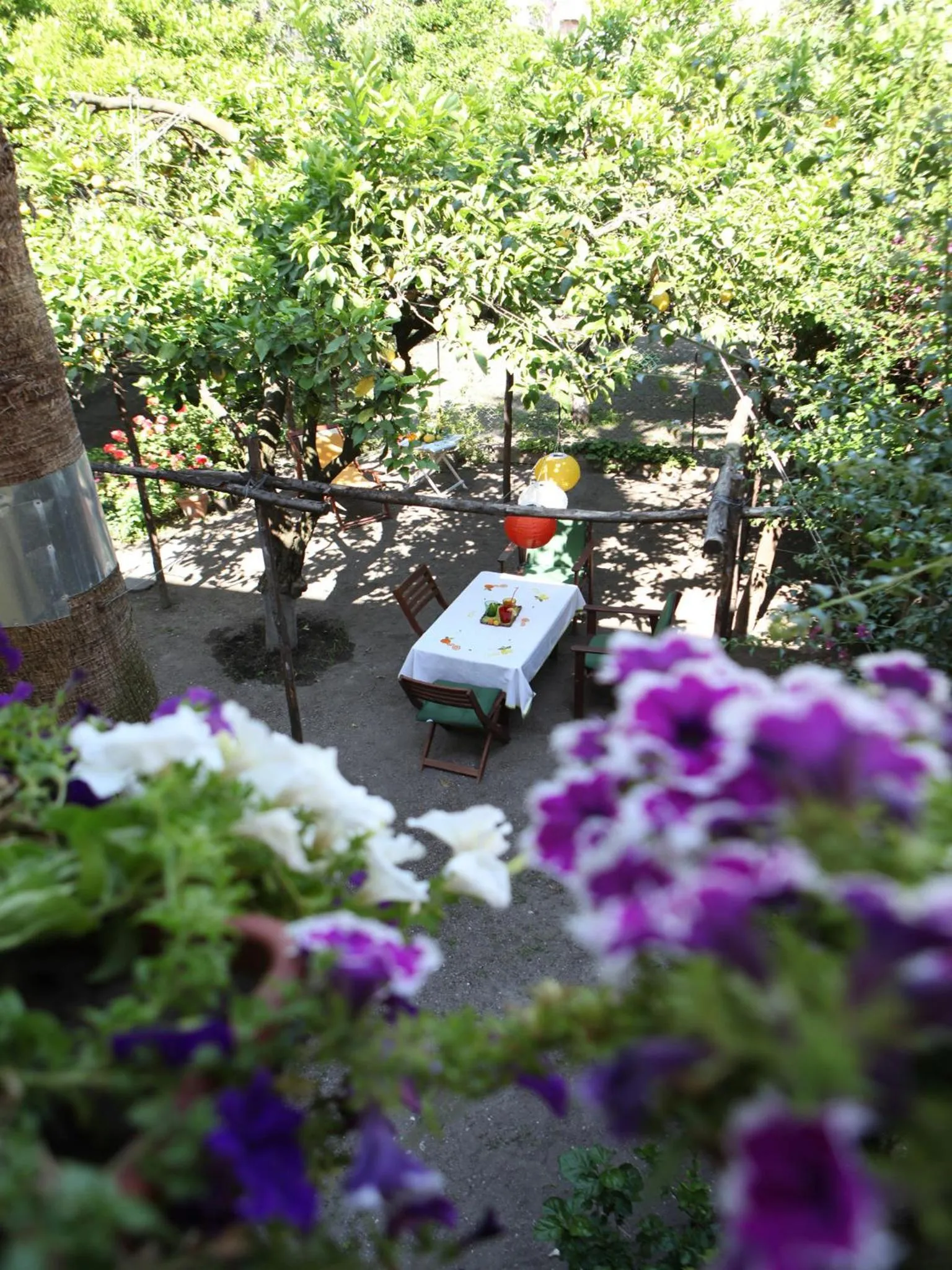 Garden in Il Giardino di Tonia - Oplontis Guest House - Bed & Garden -