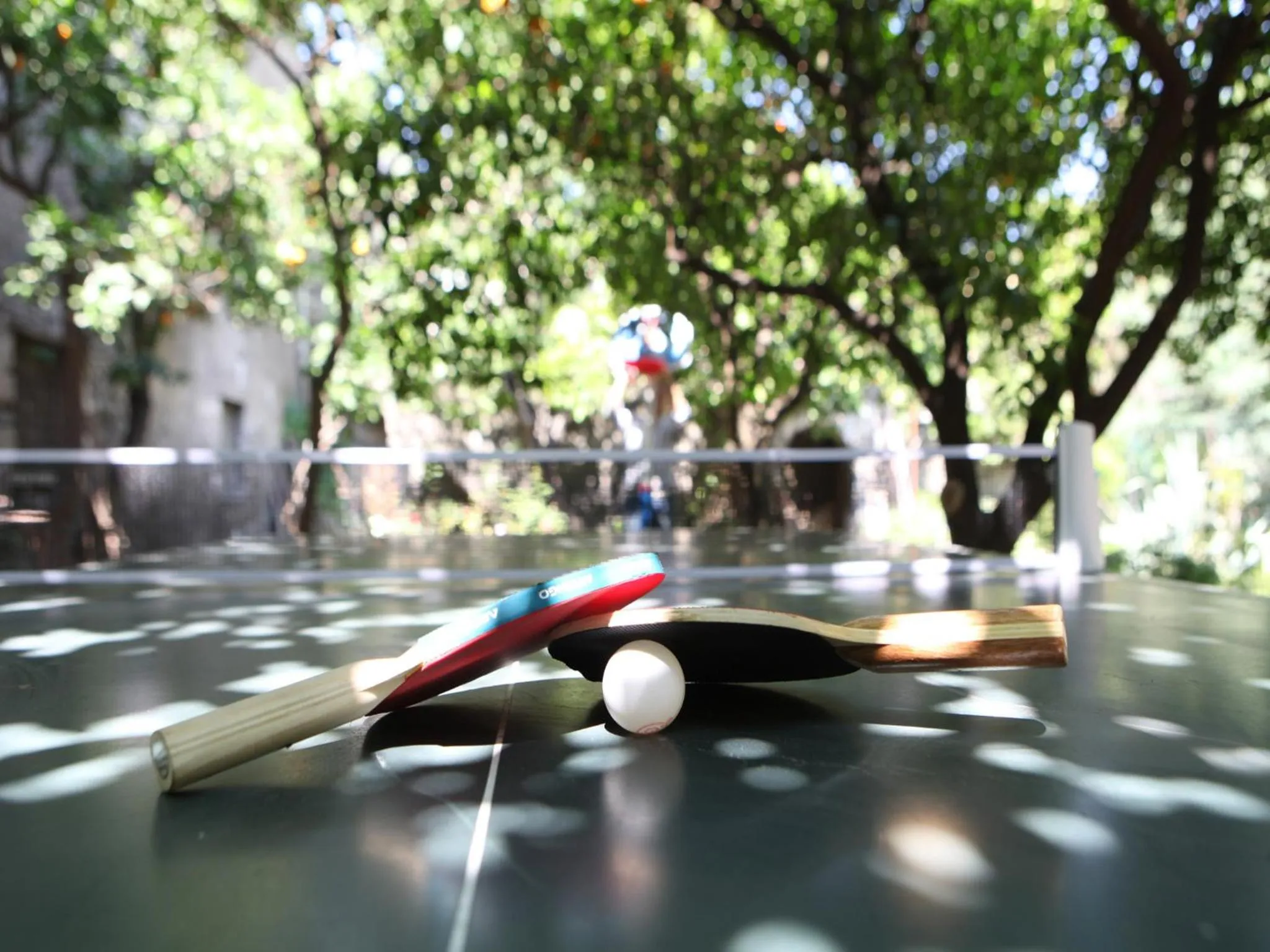 Garden in Il Giardino di Tonia - Oplontis Guest House - Bed & Garden -