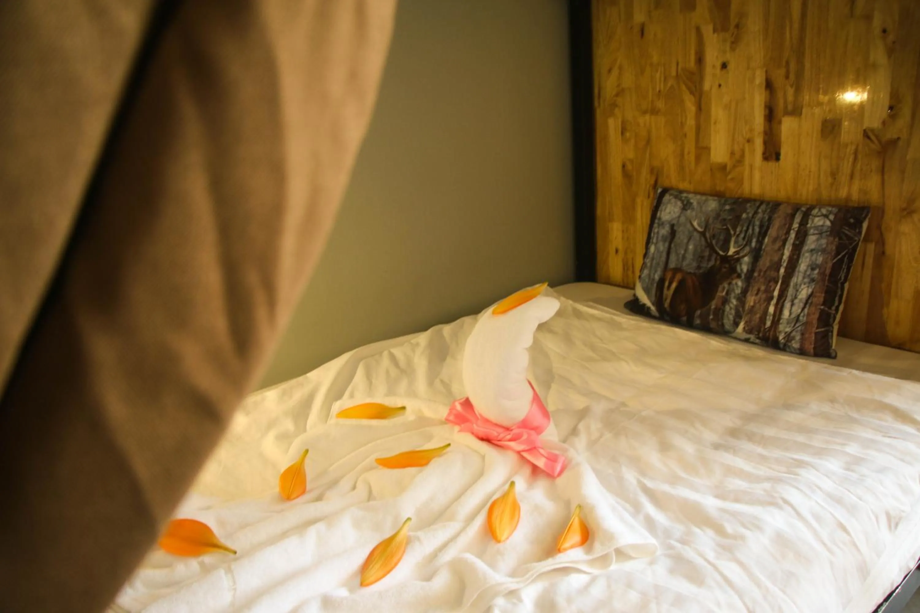 Bed in Hanoi Banana Hostel