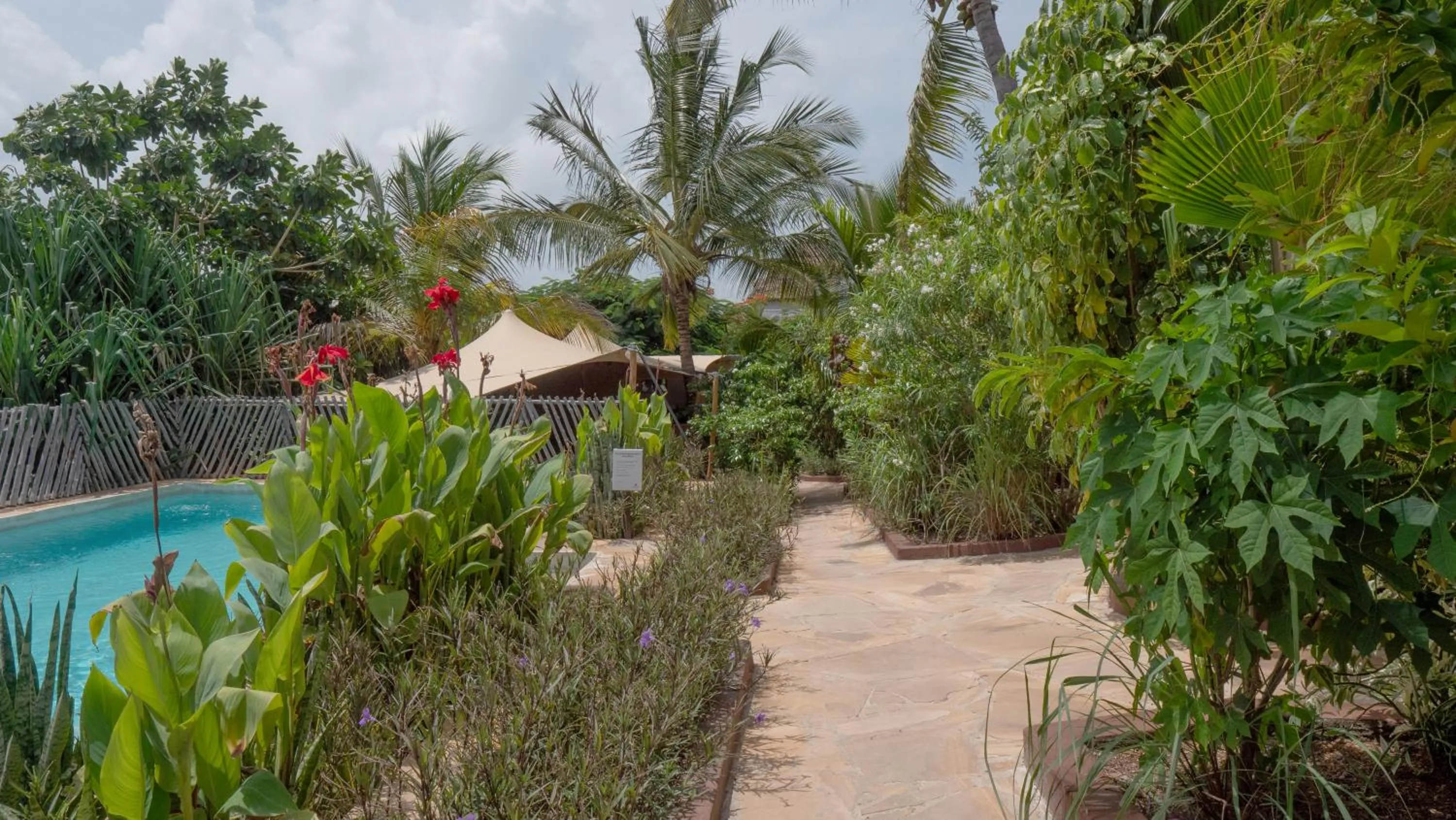 Garden in Nyumbani Residence Suites