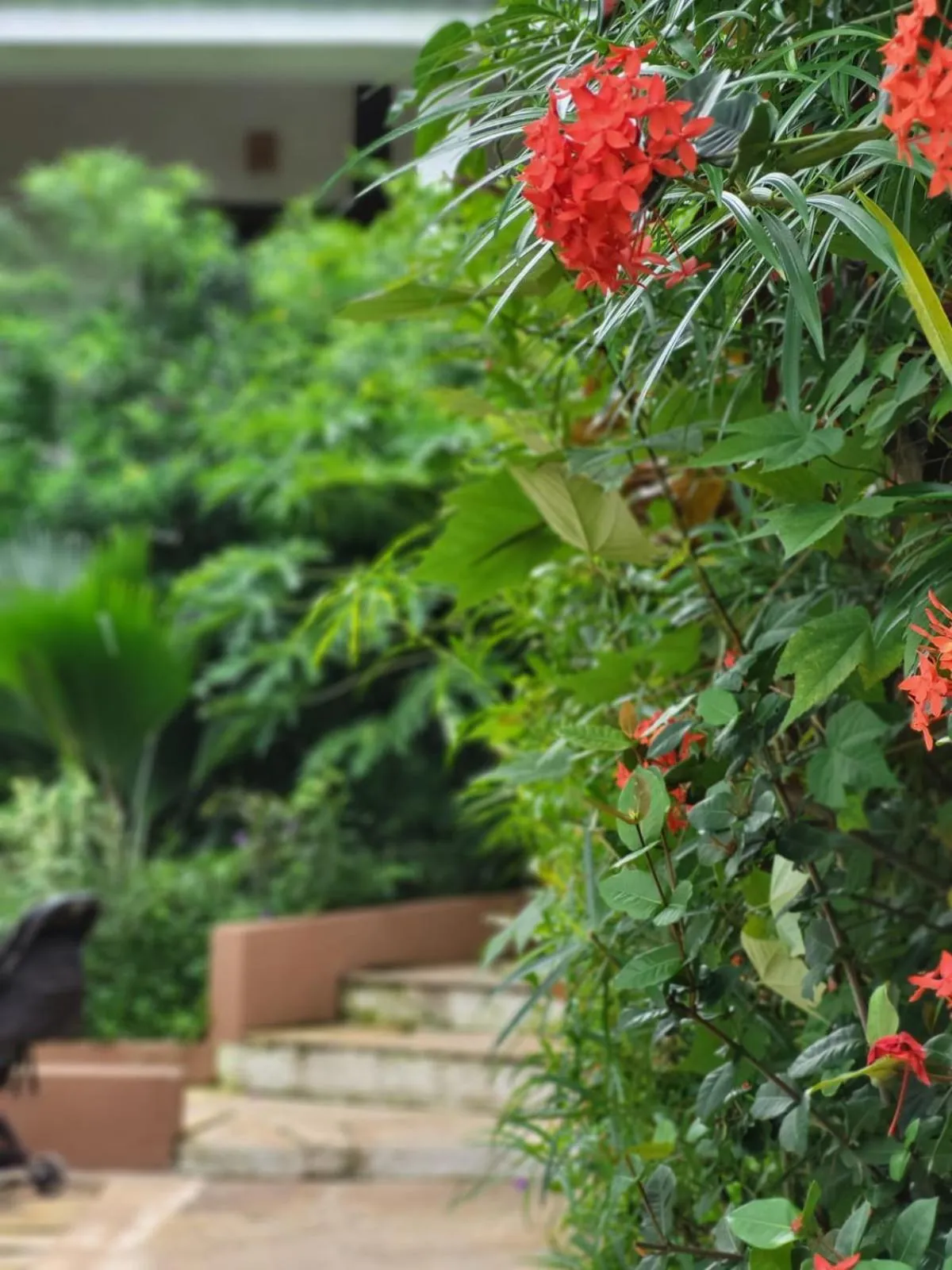 Property building in Nyumbani Residence Suites