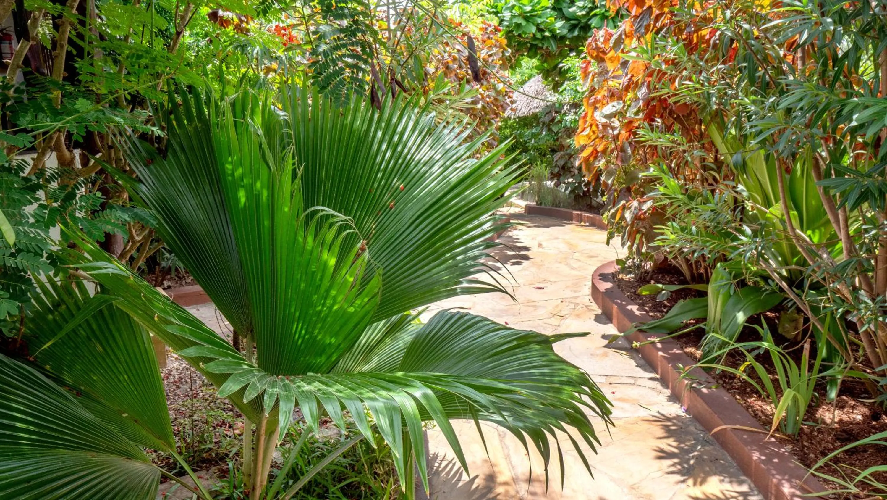Garden in Nyumbani Residence Suites