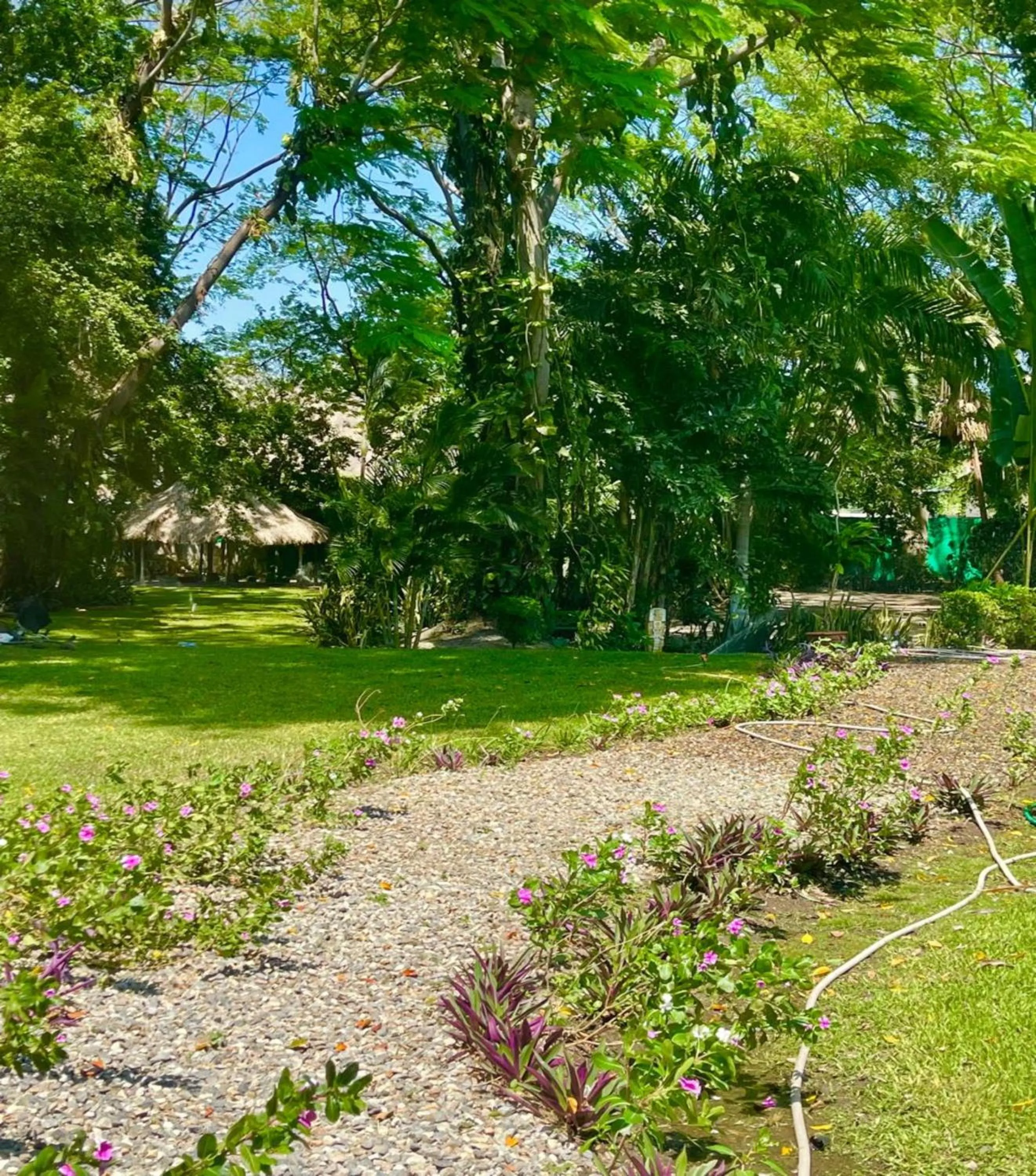 Garden in Metrotel Express