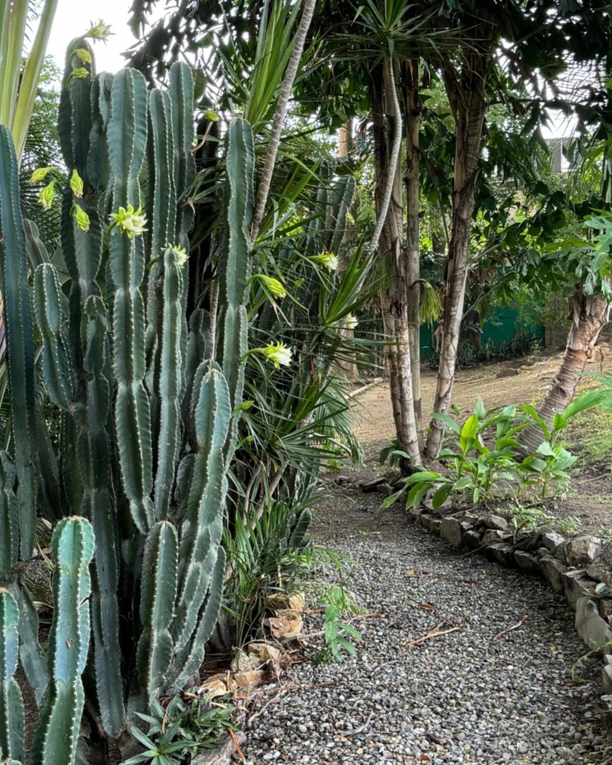 Garden in Metrotel Express