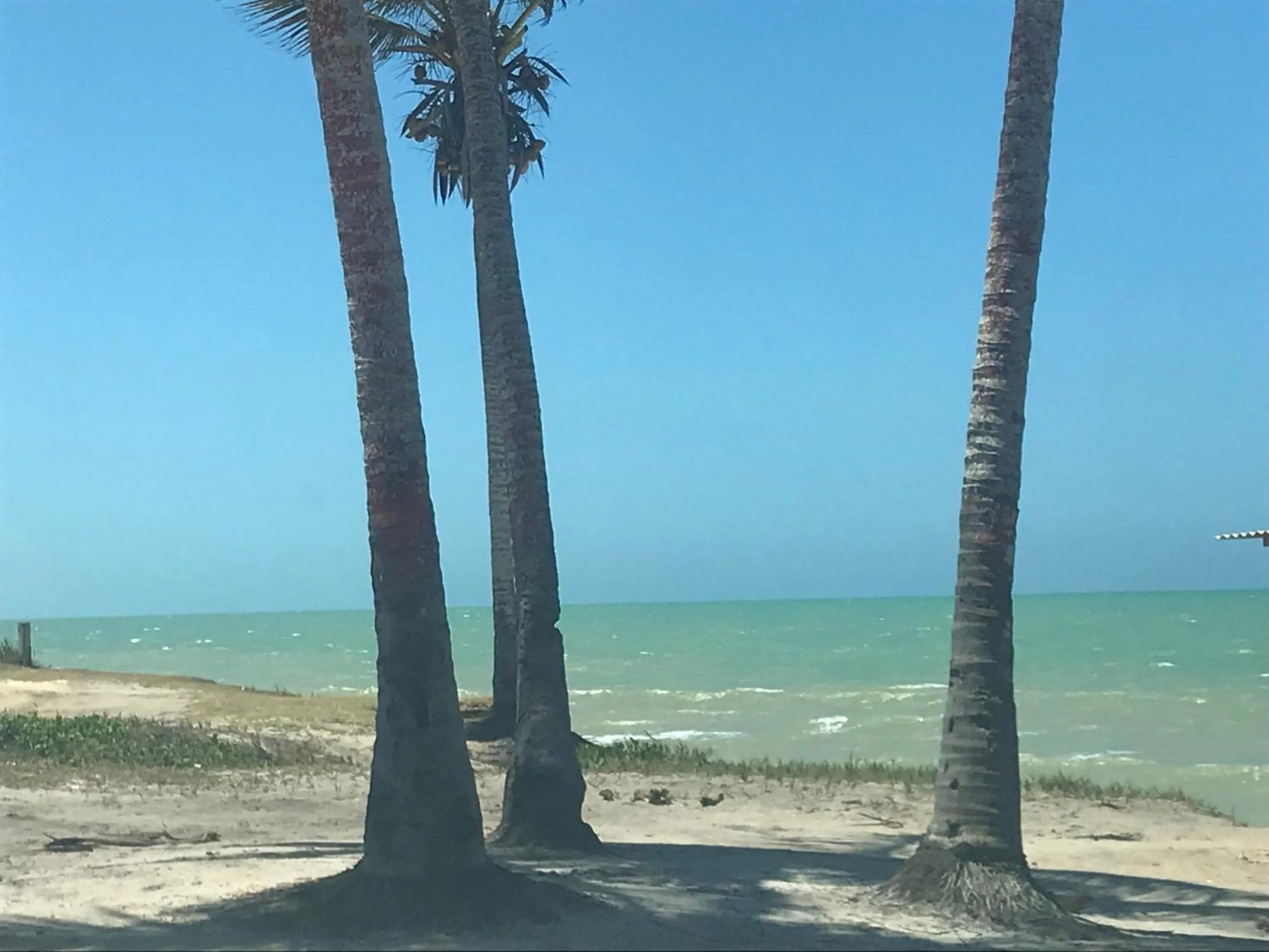 Beach in Hotel Amendoeiras