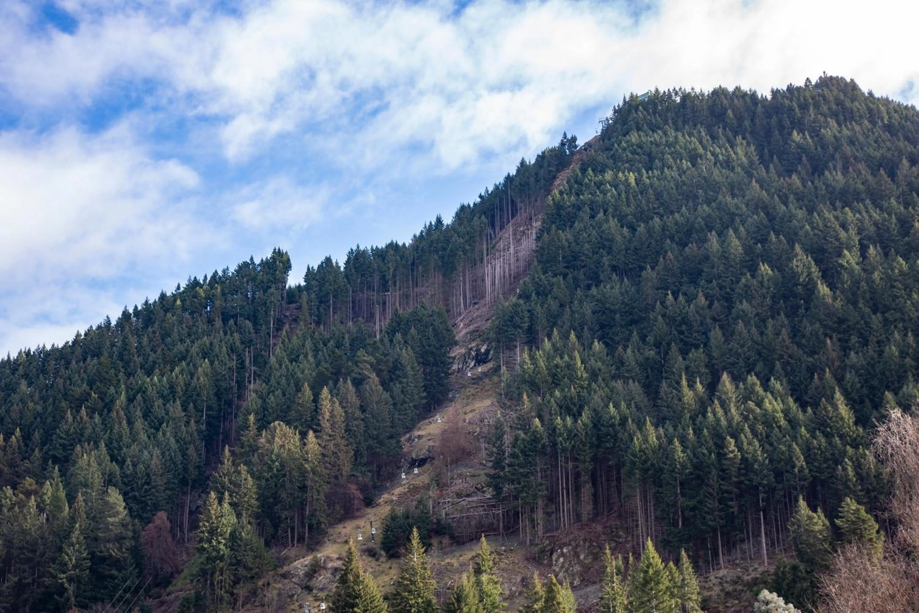 The Whistler Holiday Apartments