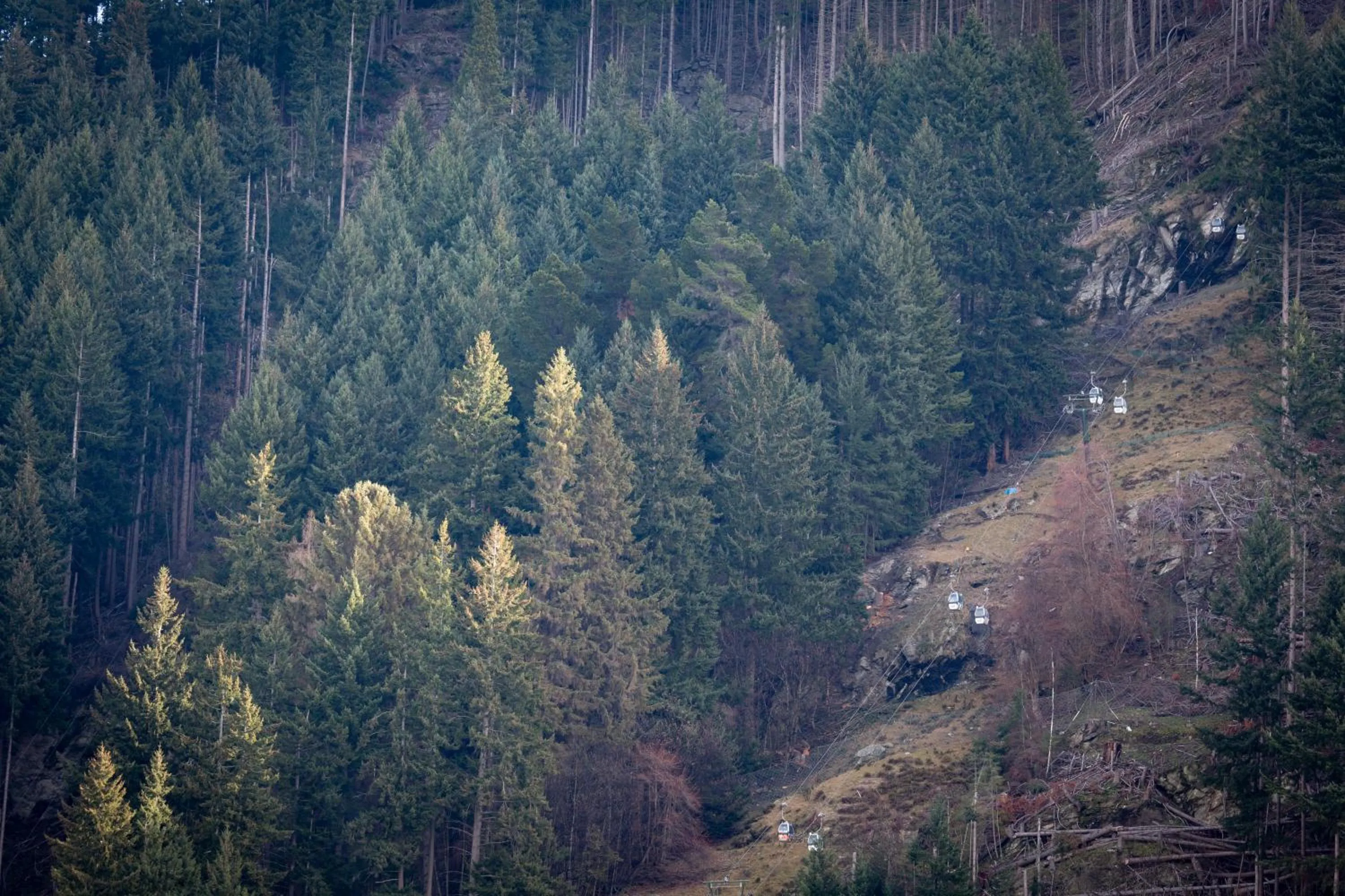 The Whistler Holiday Apartments