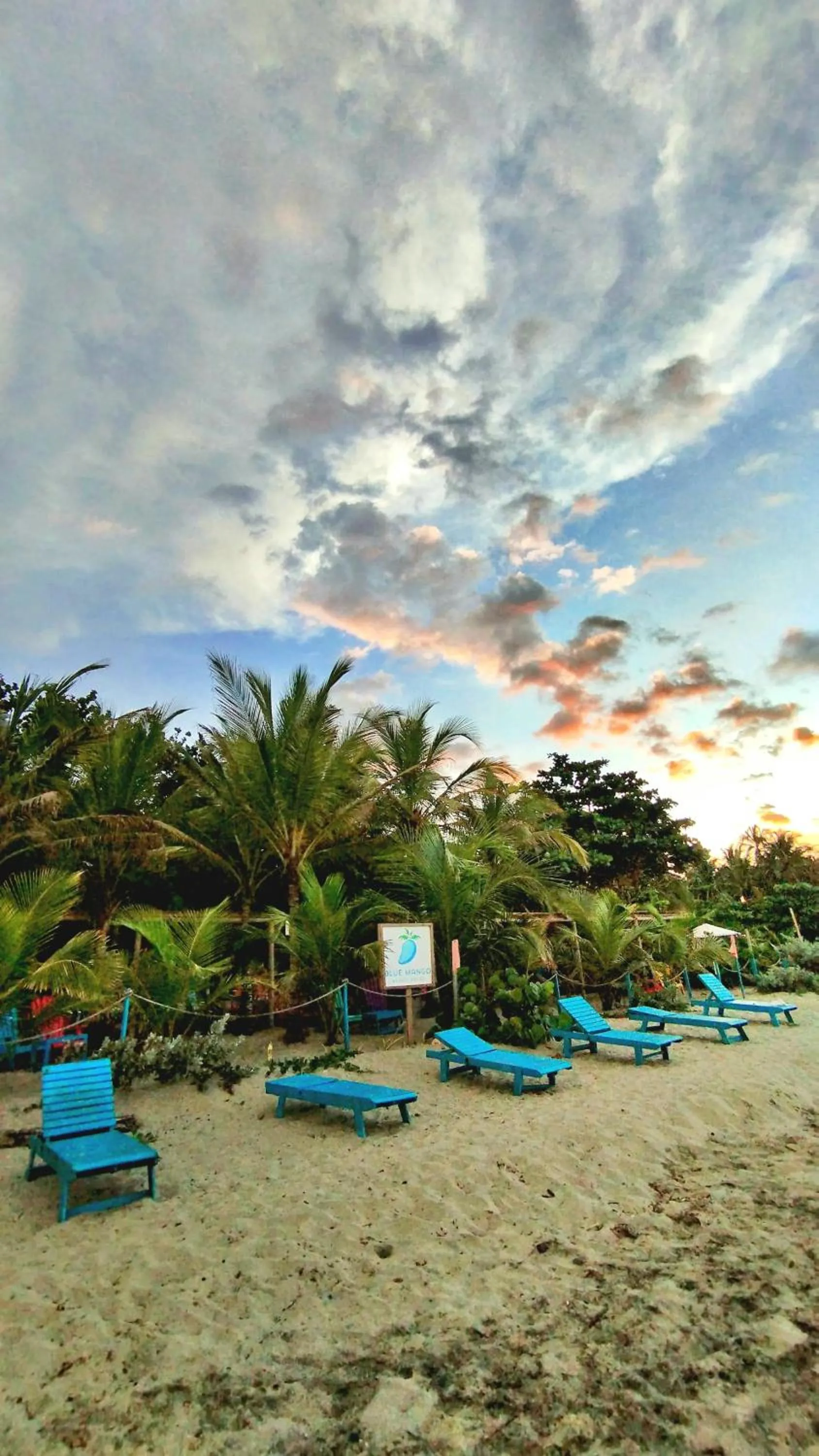 Day in Blue Mango Beach Hotel