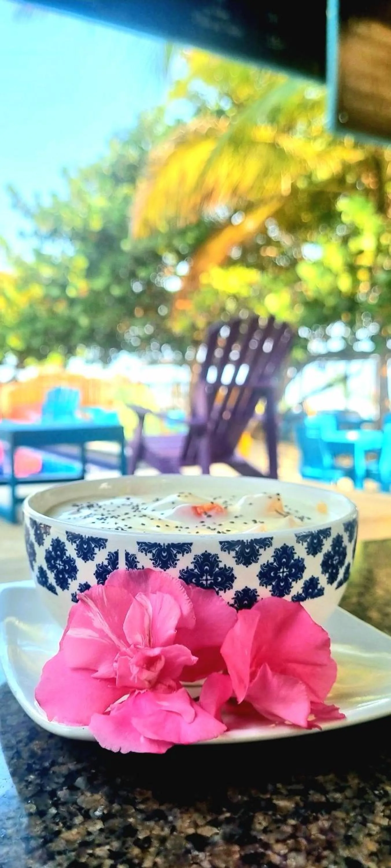 Restaurant/places to eat in Blue Mango Beach Hotel