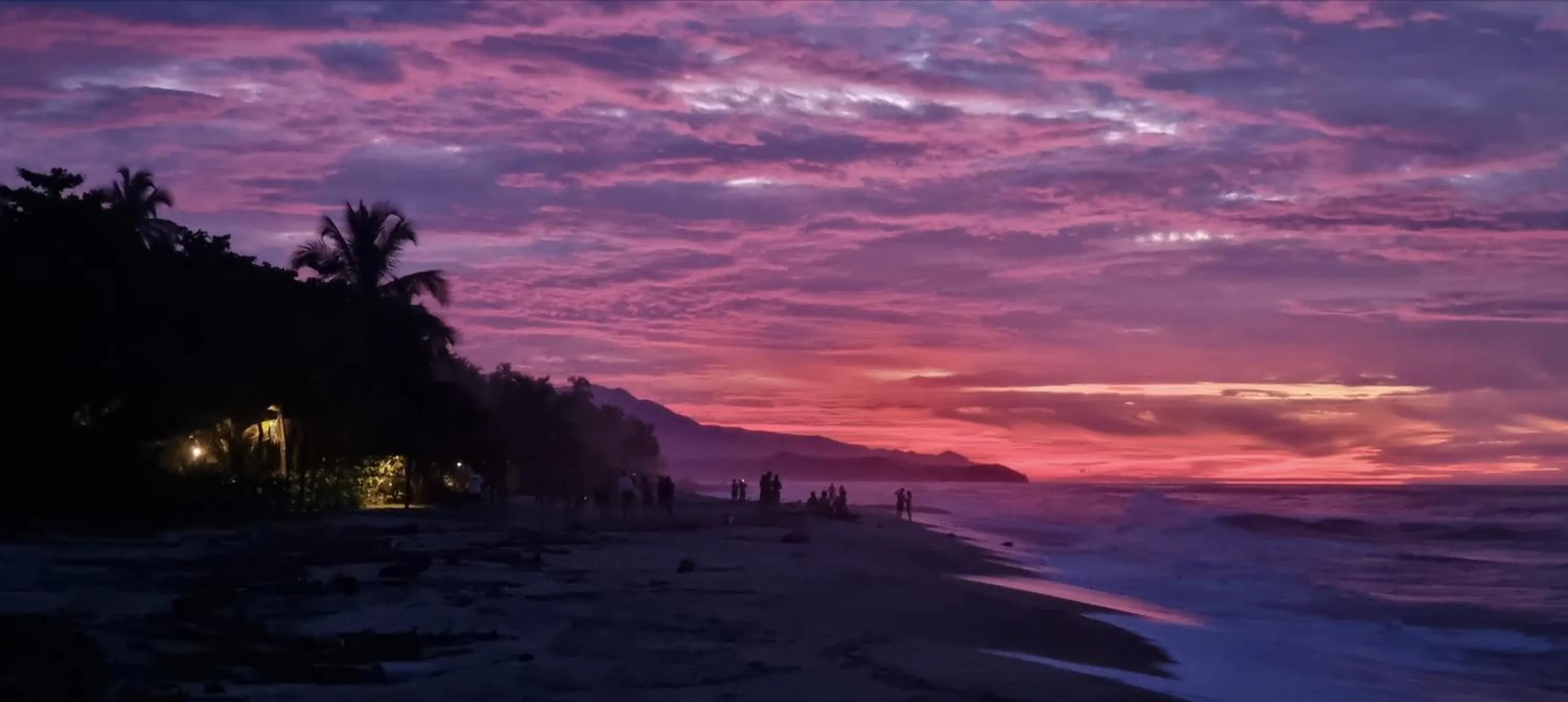 Natural landscape in Blue Mango Beach Hotel