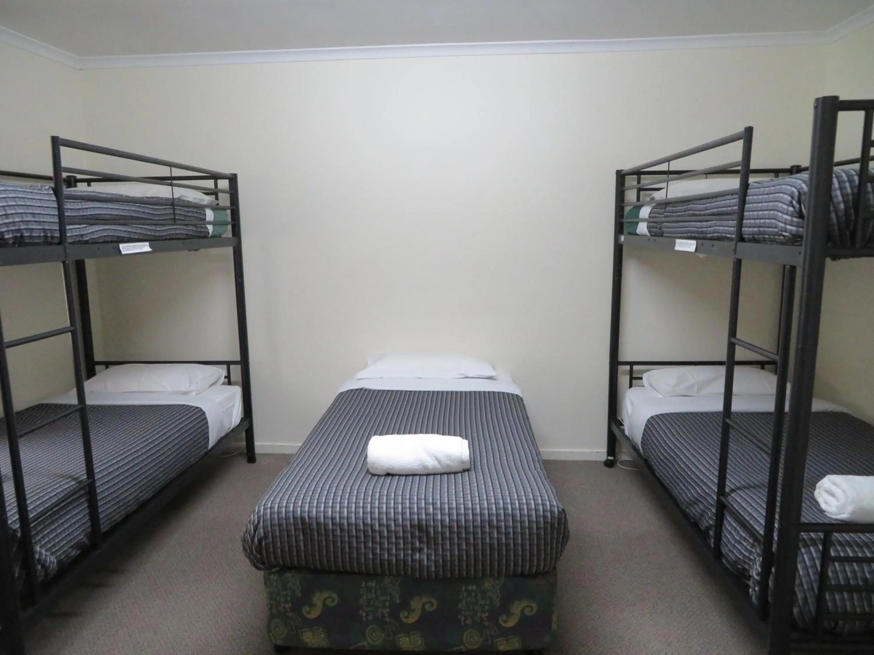 bunk bed, Bed in Warrnambool Motel and Holiday Park
