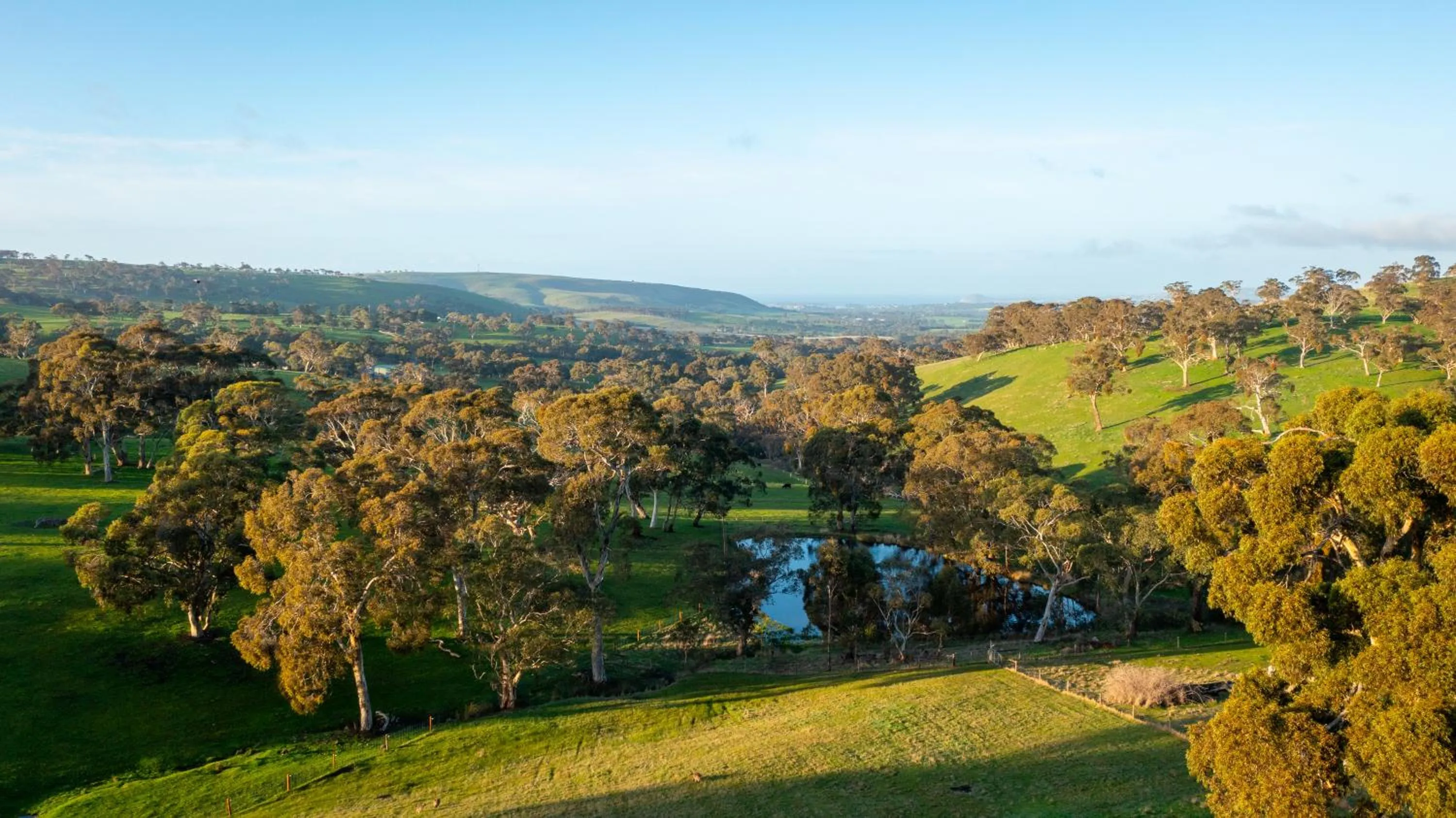 Natural landscape in Seascape Retreat