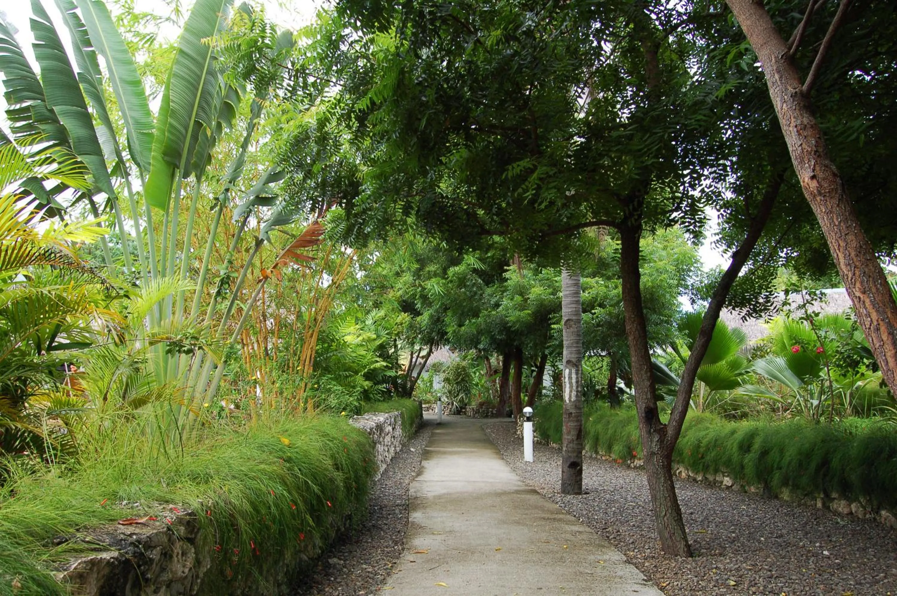 Area and facilities in Marcosas Cottages Resort