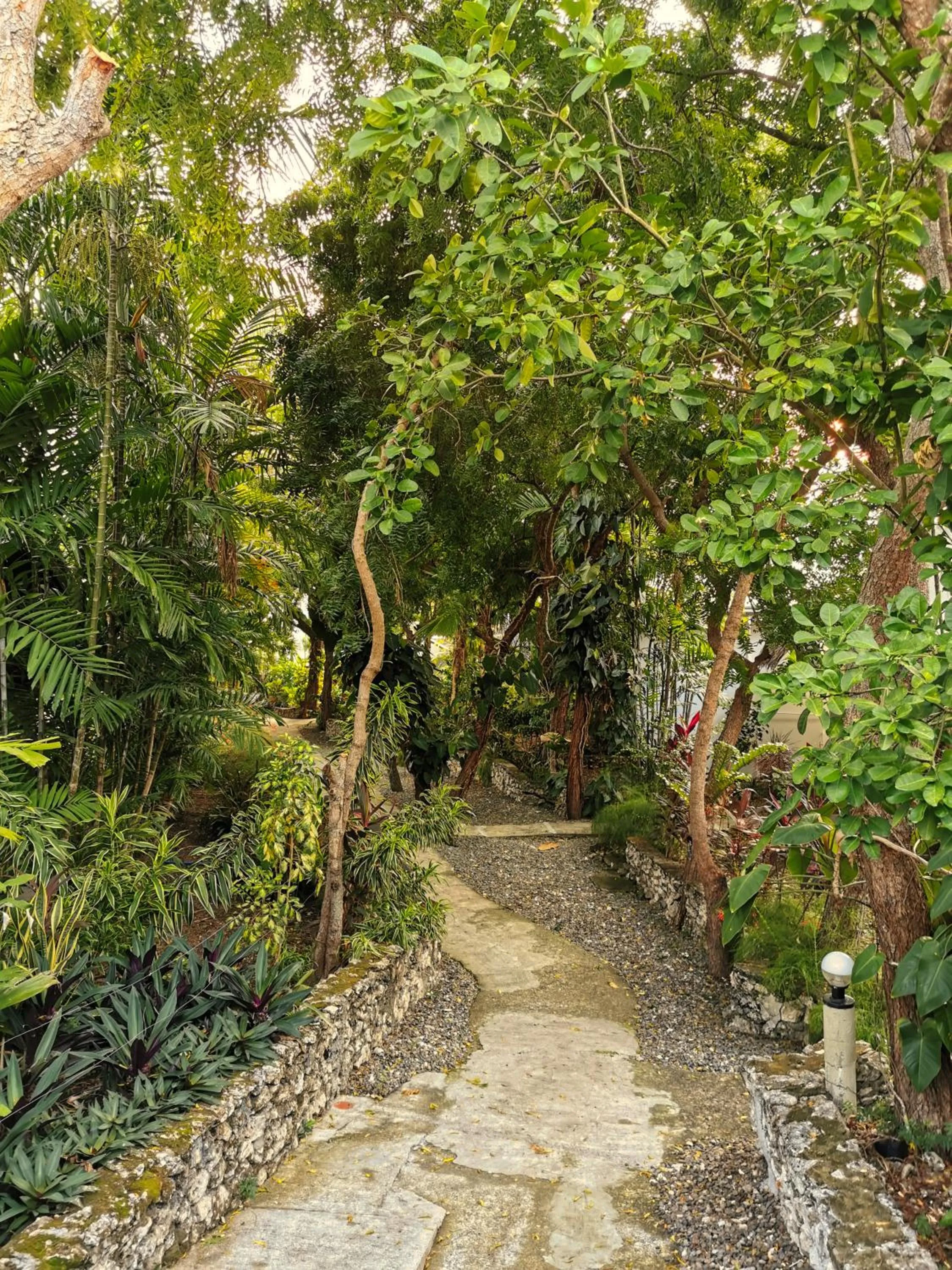 Garden in Marcosas Cottages Resort