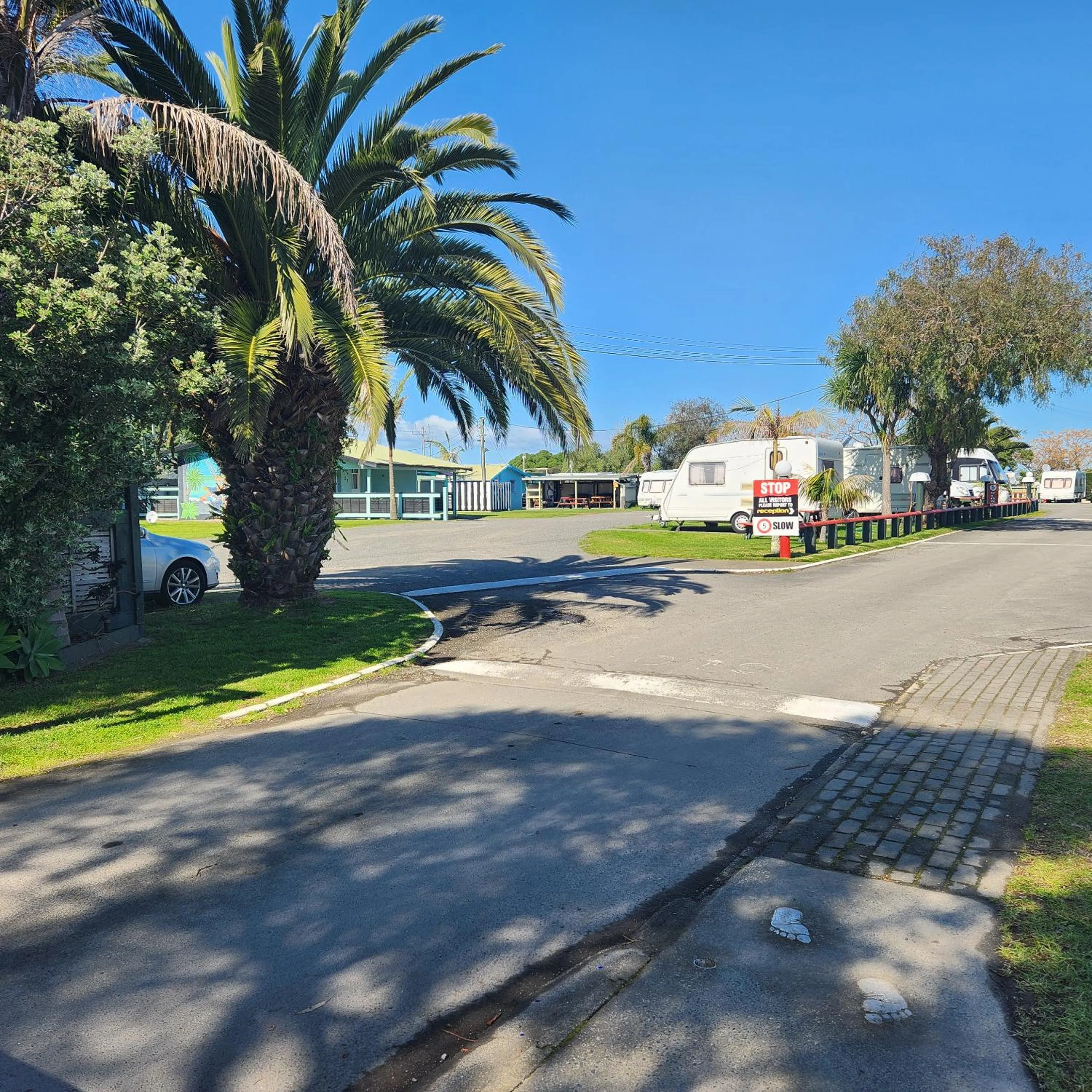 Natural landscape in Westshore Holiday Park