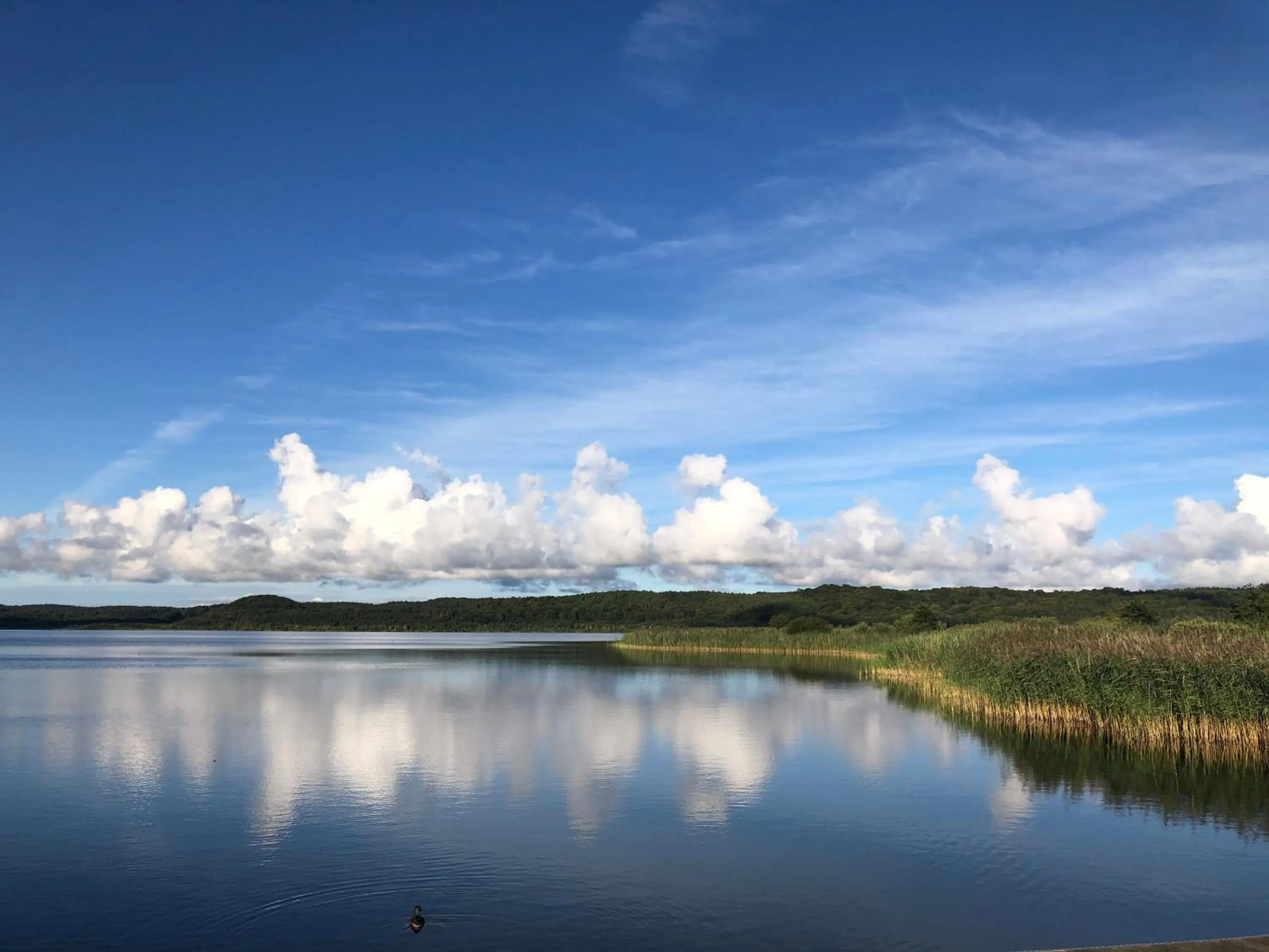 Natural landscape in Oma's Küche & Quartier