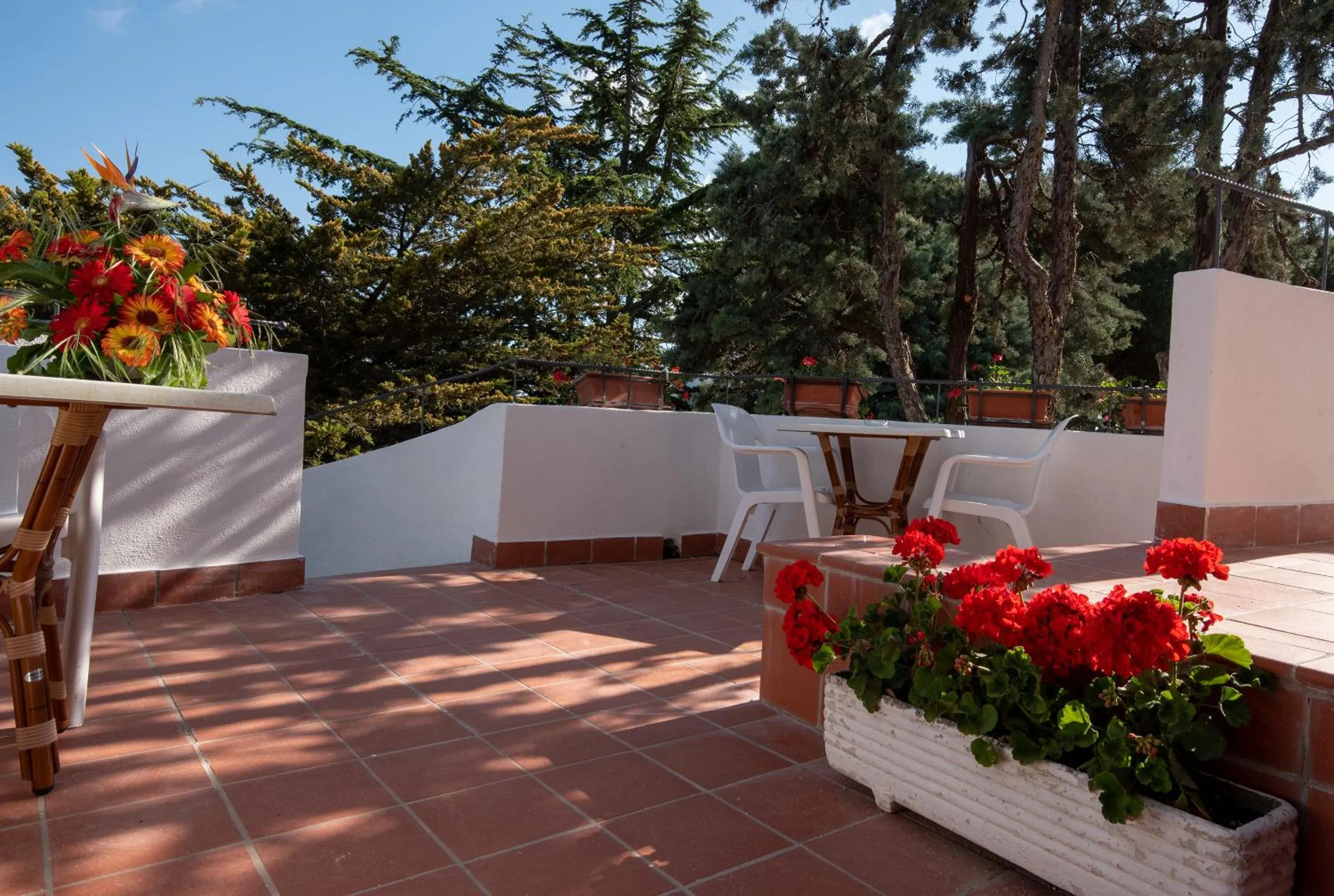 Balcony/Terrace in Hotel & Spa Relais Freedom Club