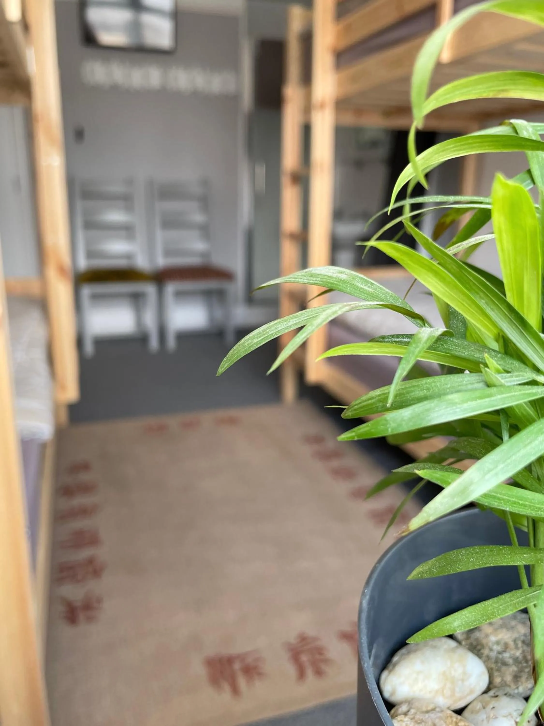 Shower in Breakers Guest House