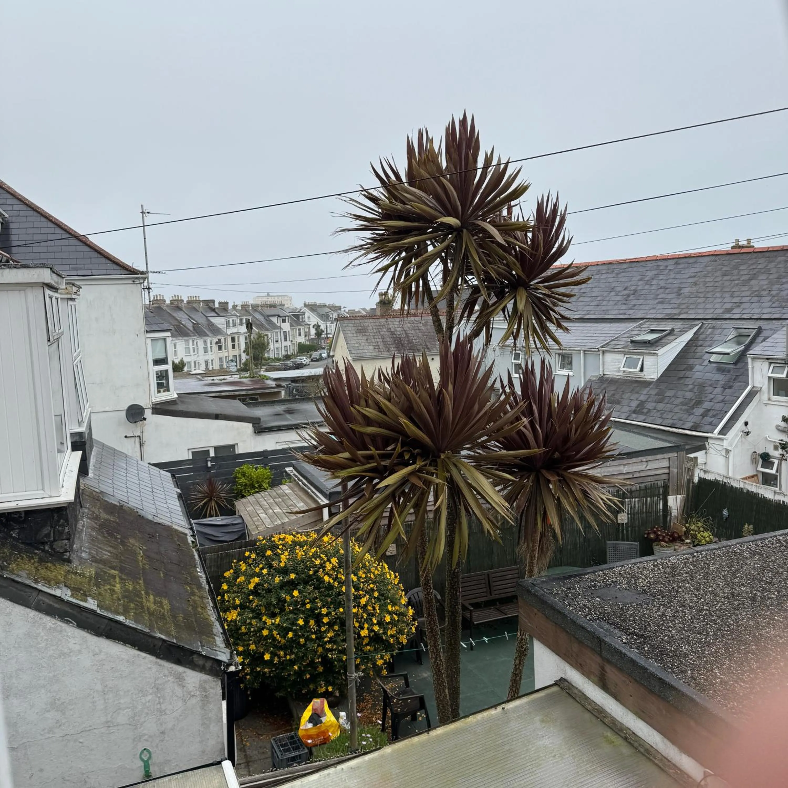 City view in Breakers Guest House