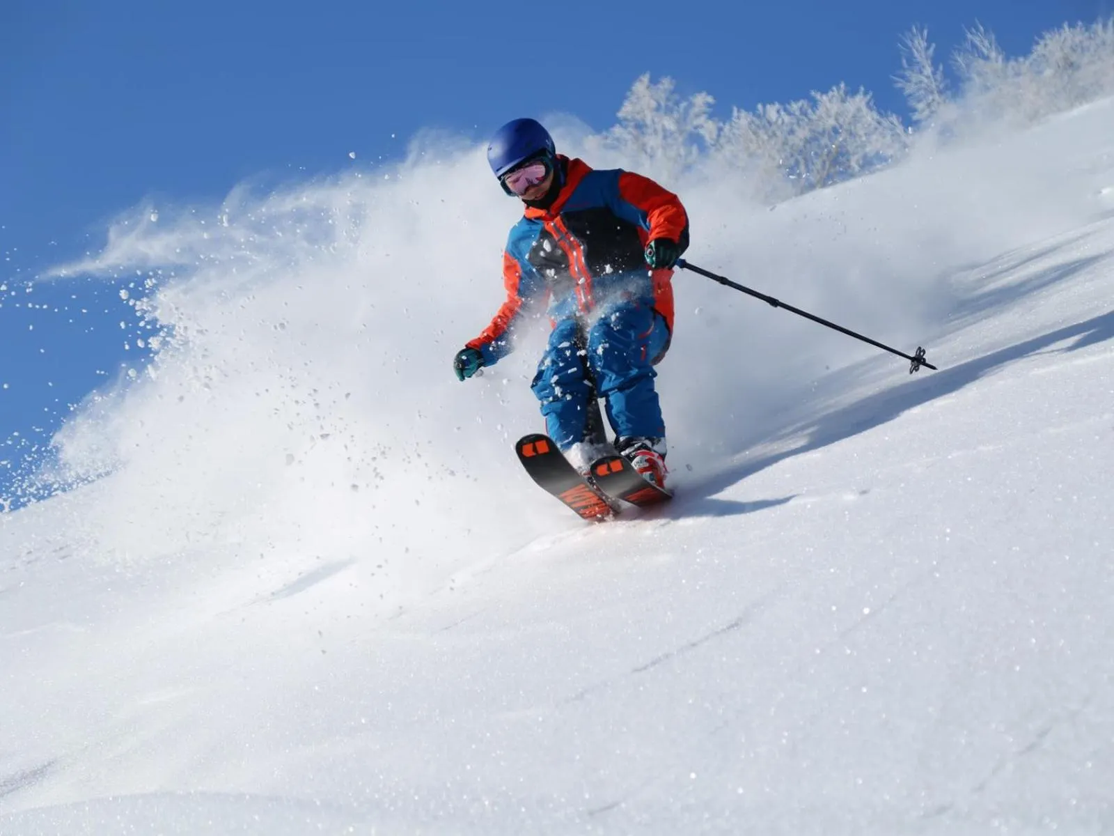 Activities in Apprising hotels GranJam Tsugaike