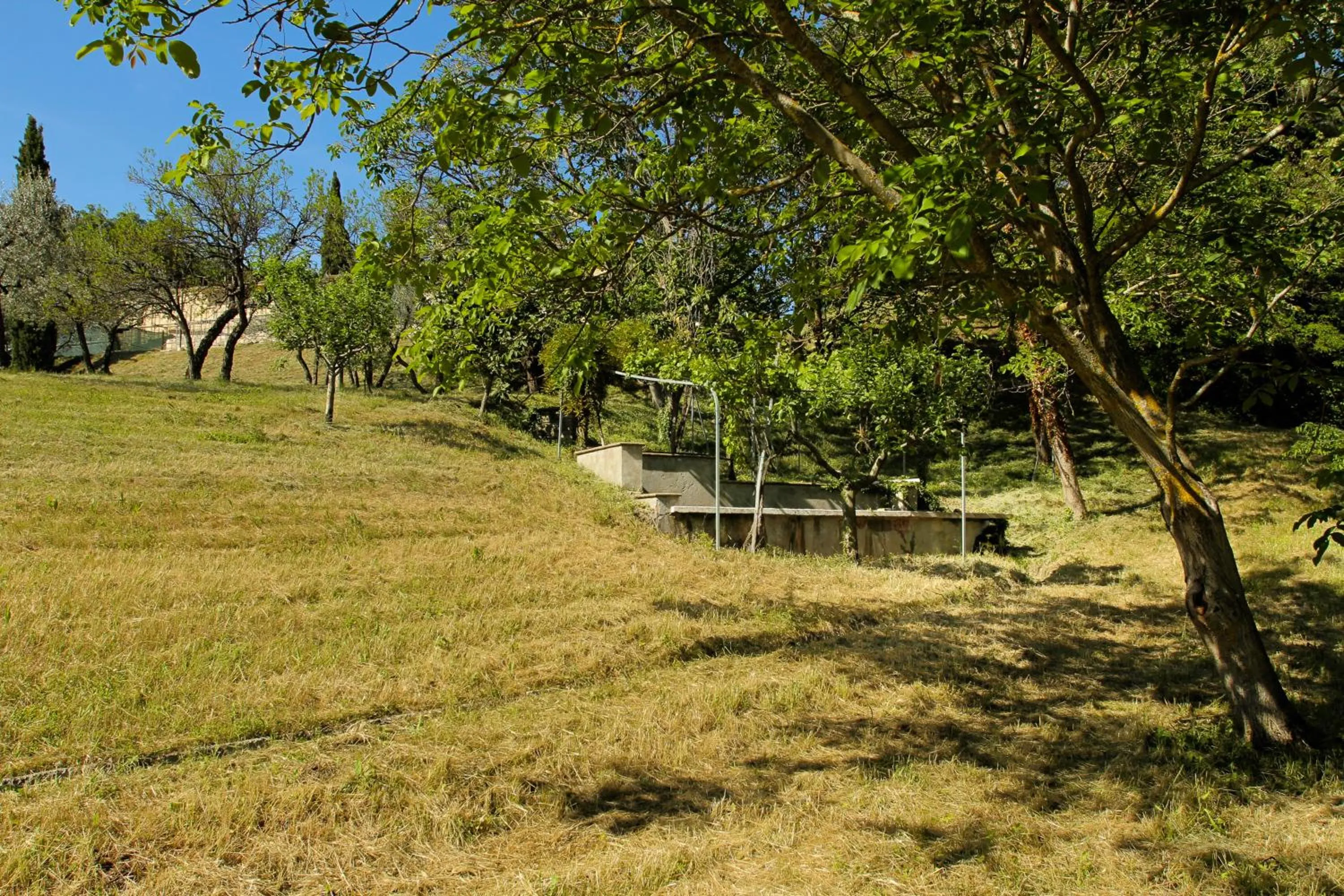 Pets in Villa Degli Ulivi