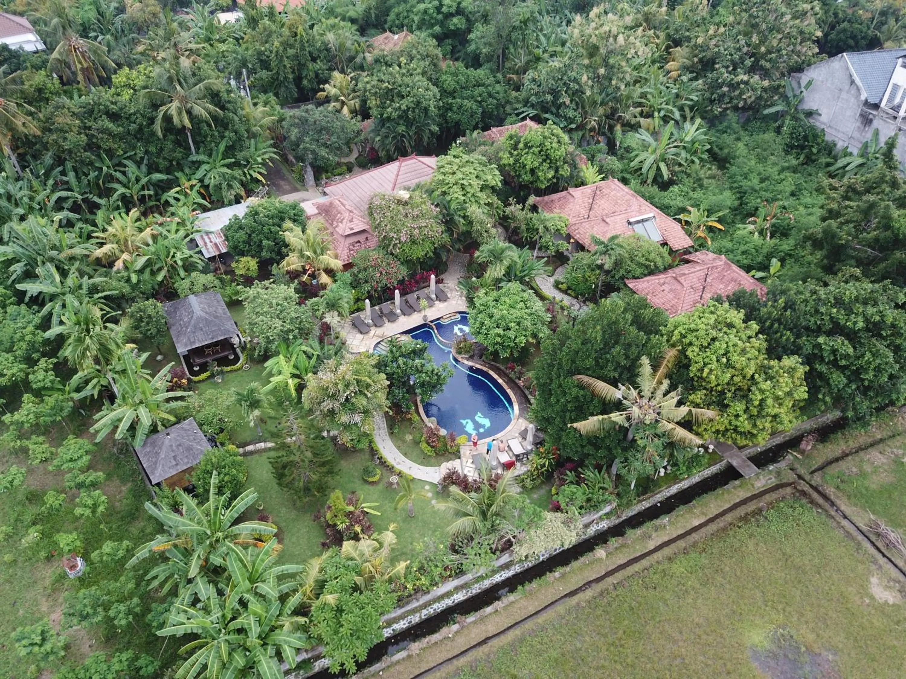 Patio in Sawah Lovina