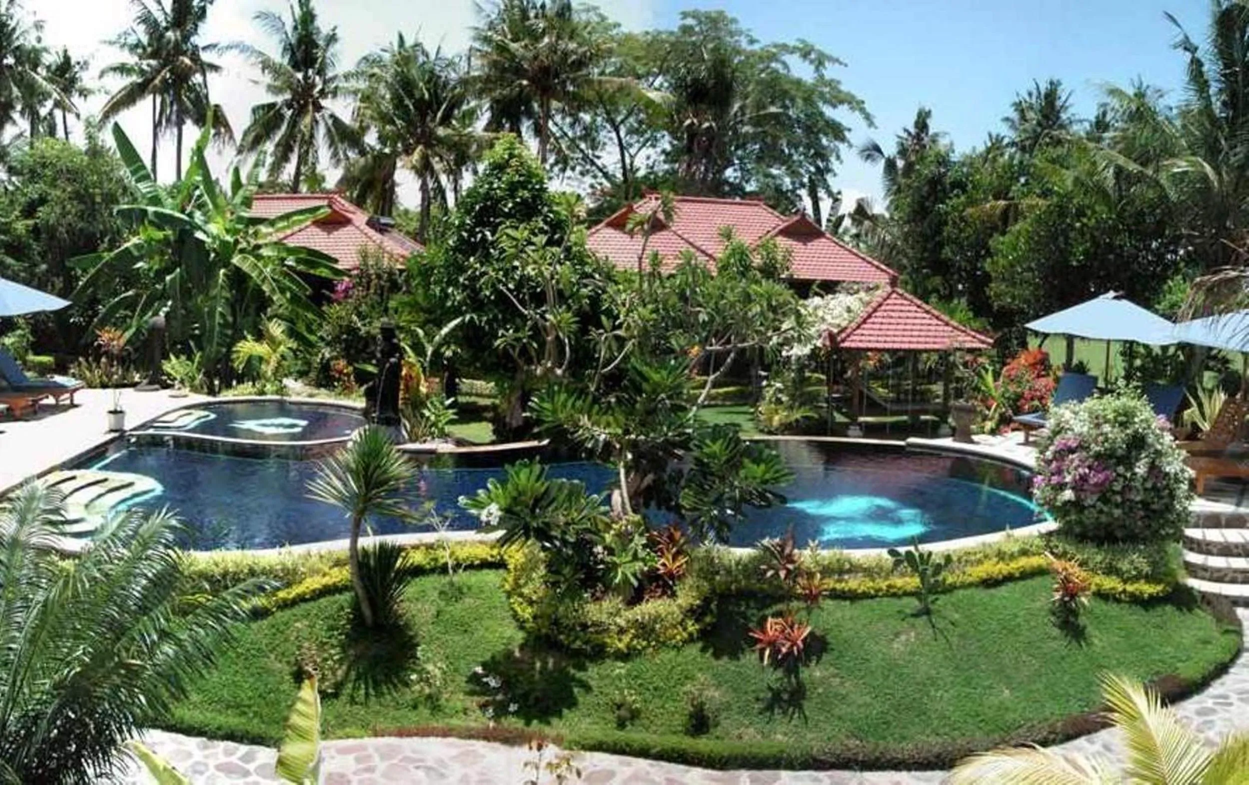 Swimming pool in Sawah Lovina
