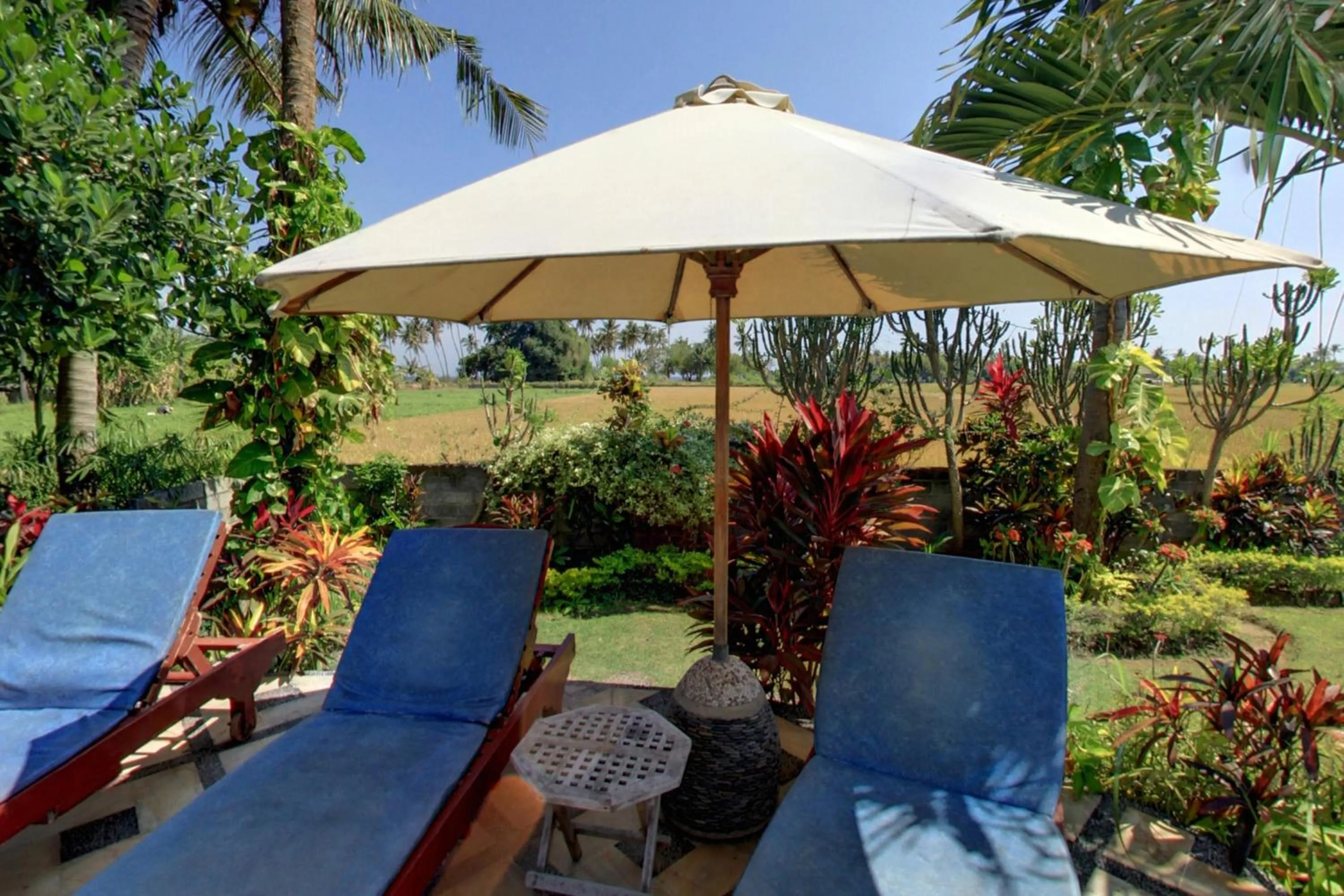 View (from property/room) in Sawah Lovina