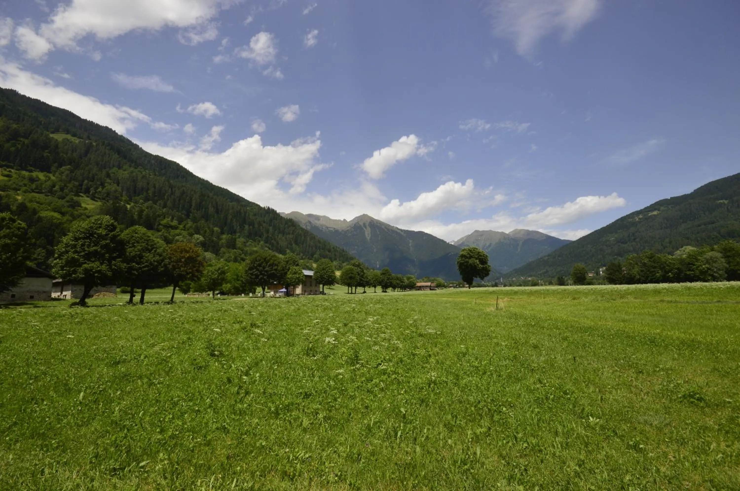 Location in Villa Lucin